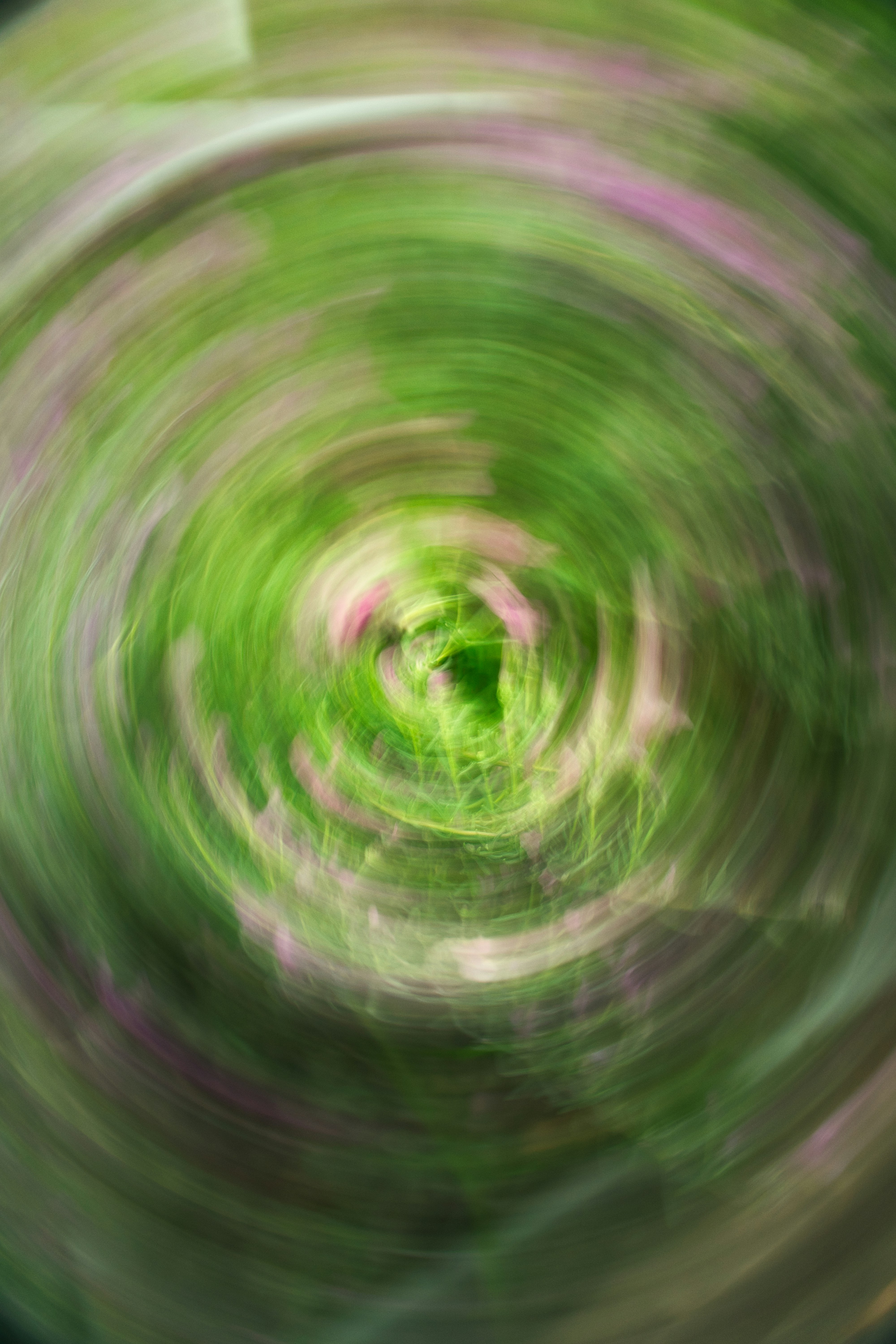 Abstract radial motion blur of green foliage and soft pink flowers