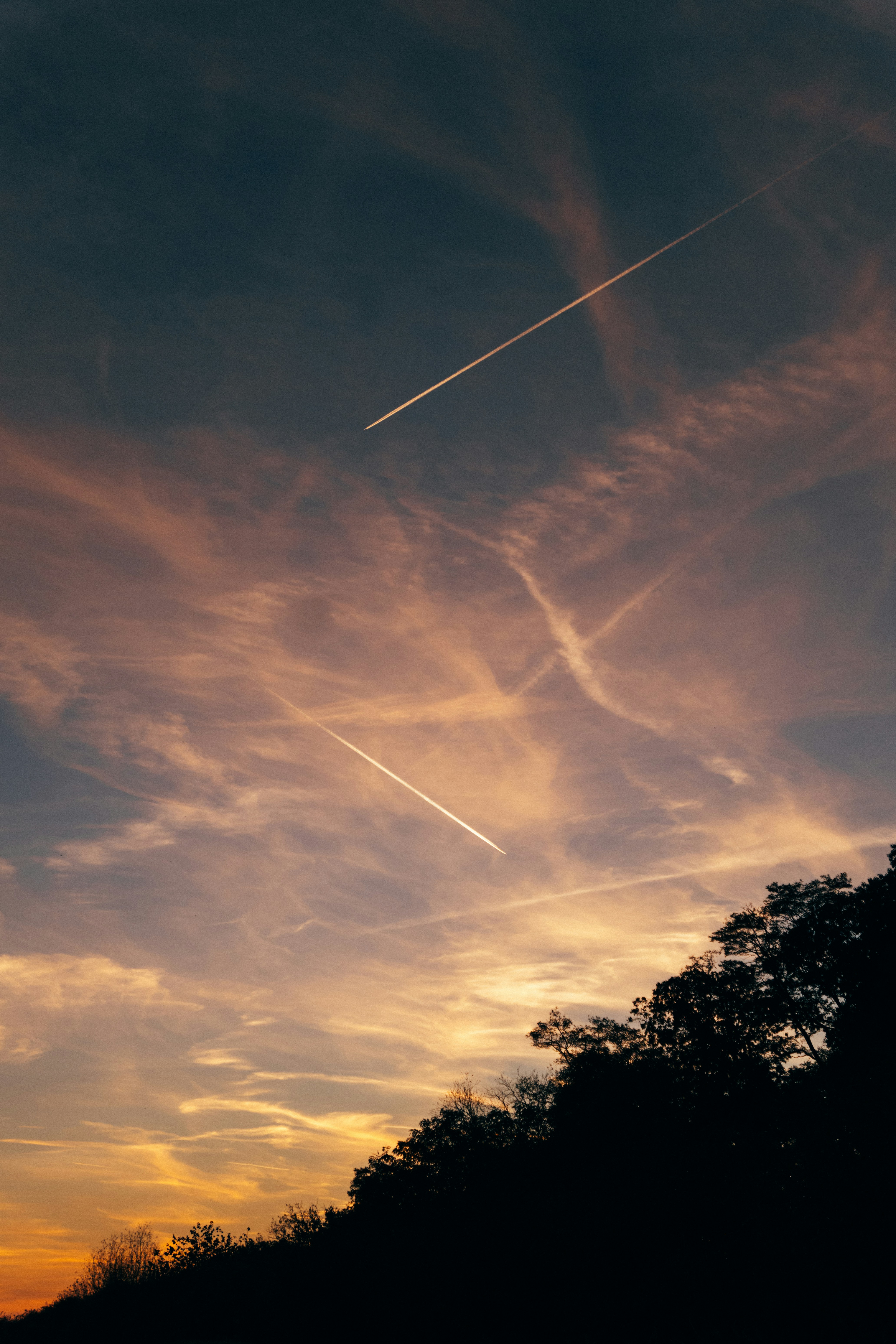 Two airplane contrails crossing a warm orange sky above a dark tree line