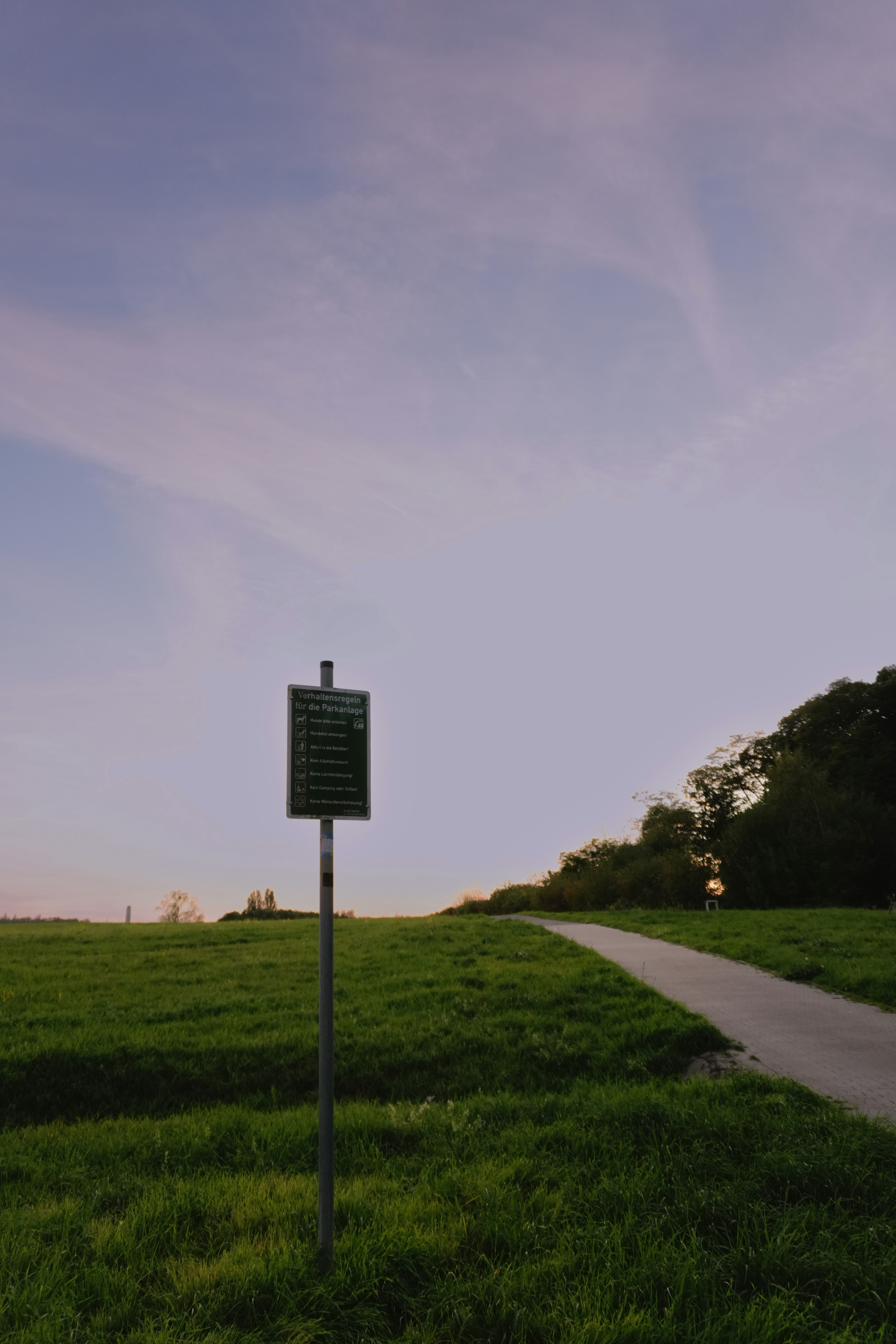 A sign with park rules on a metal pole in a grassy field at dusk