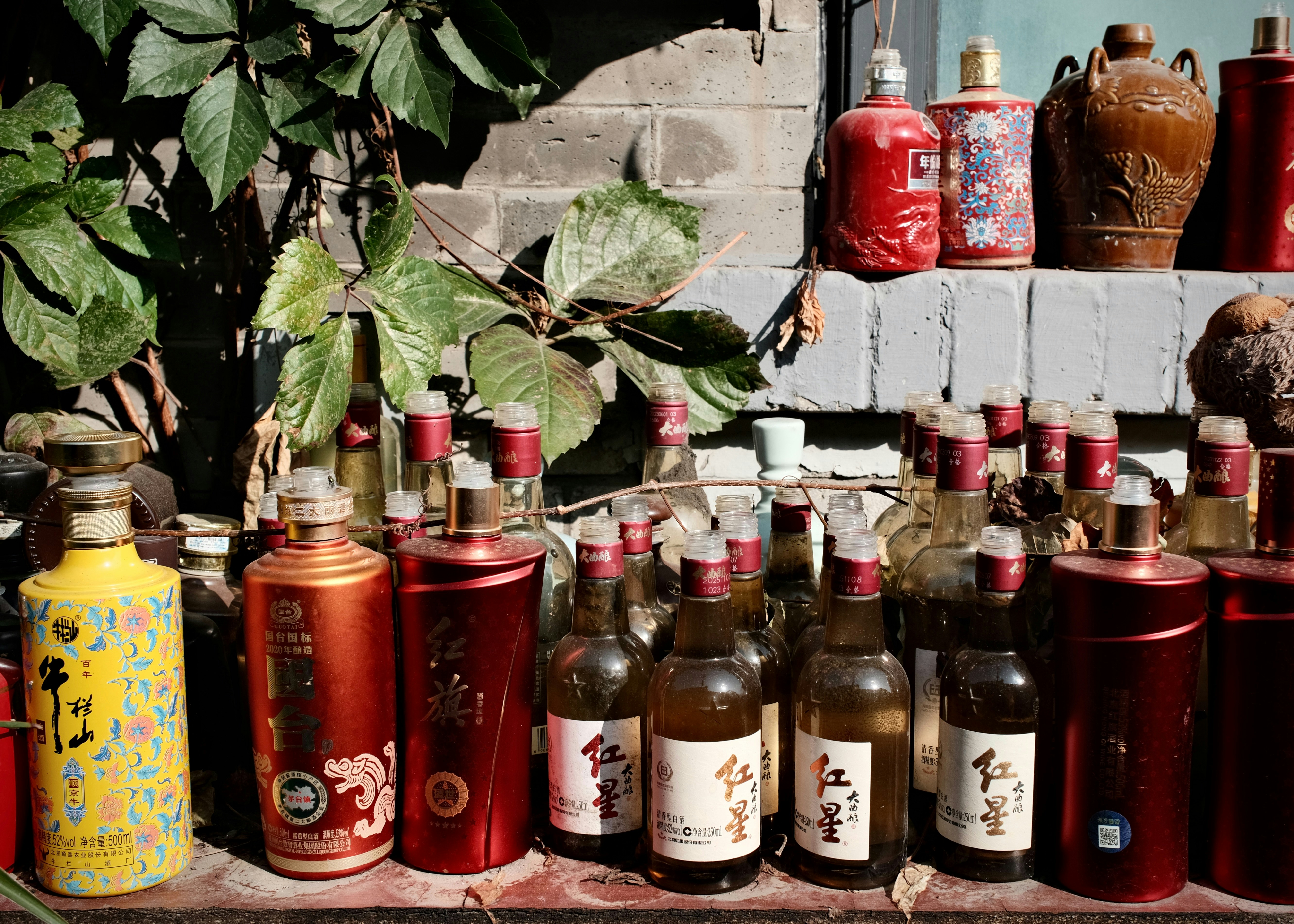 A collection of various liquor bottles arranged on a ledge beneath green leaves