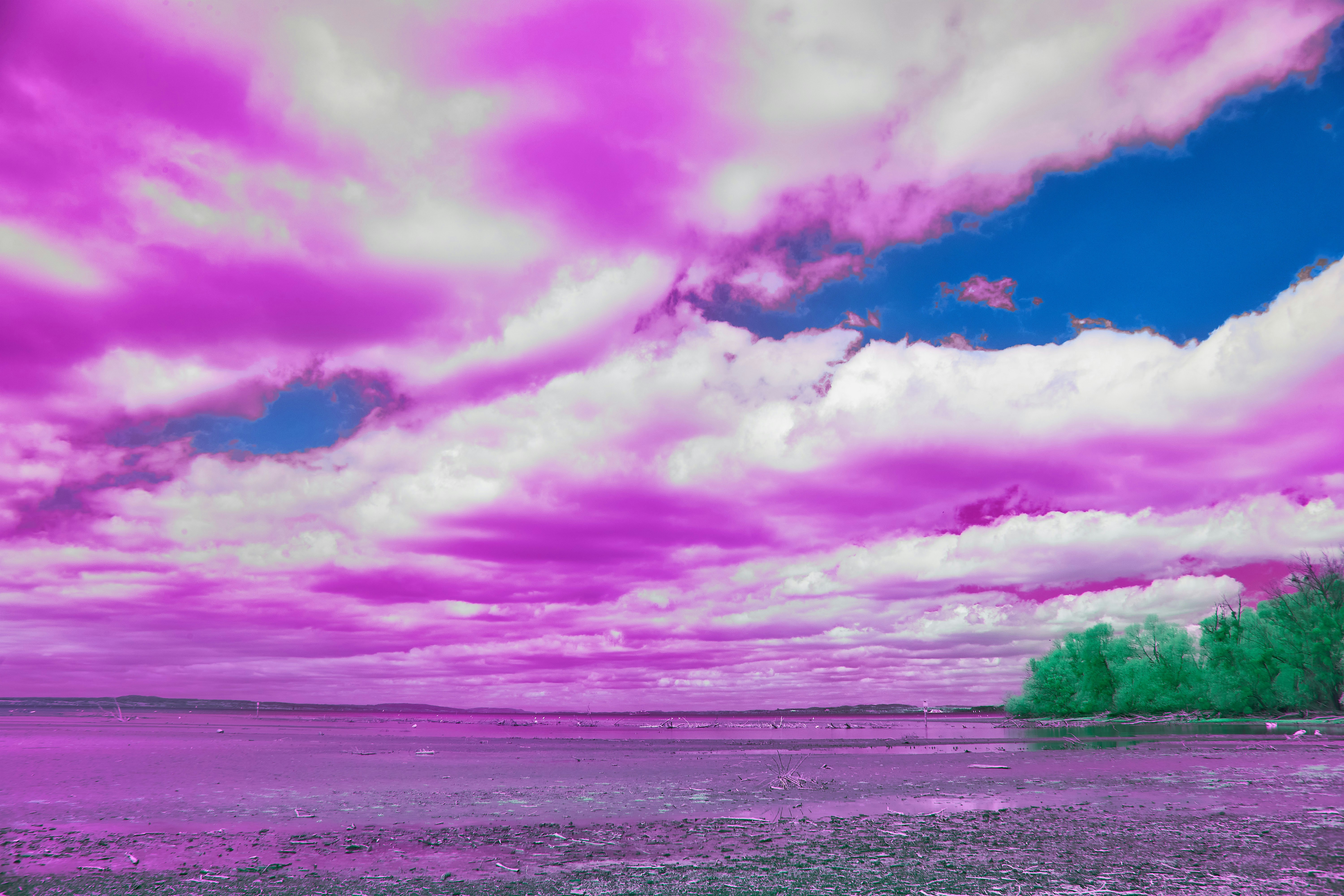 A surreal landscape with vibrant magenta clouds and green trees along a calm lake shore