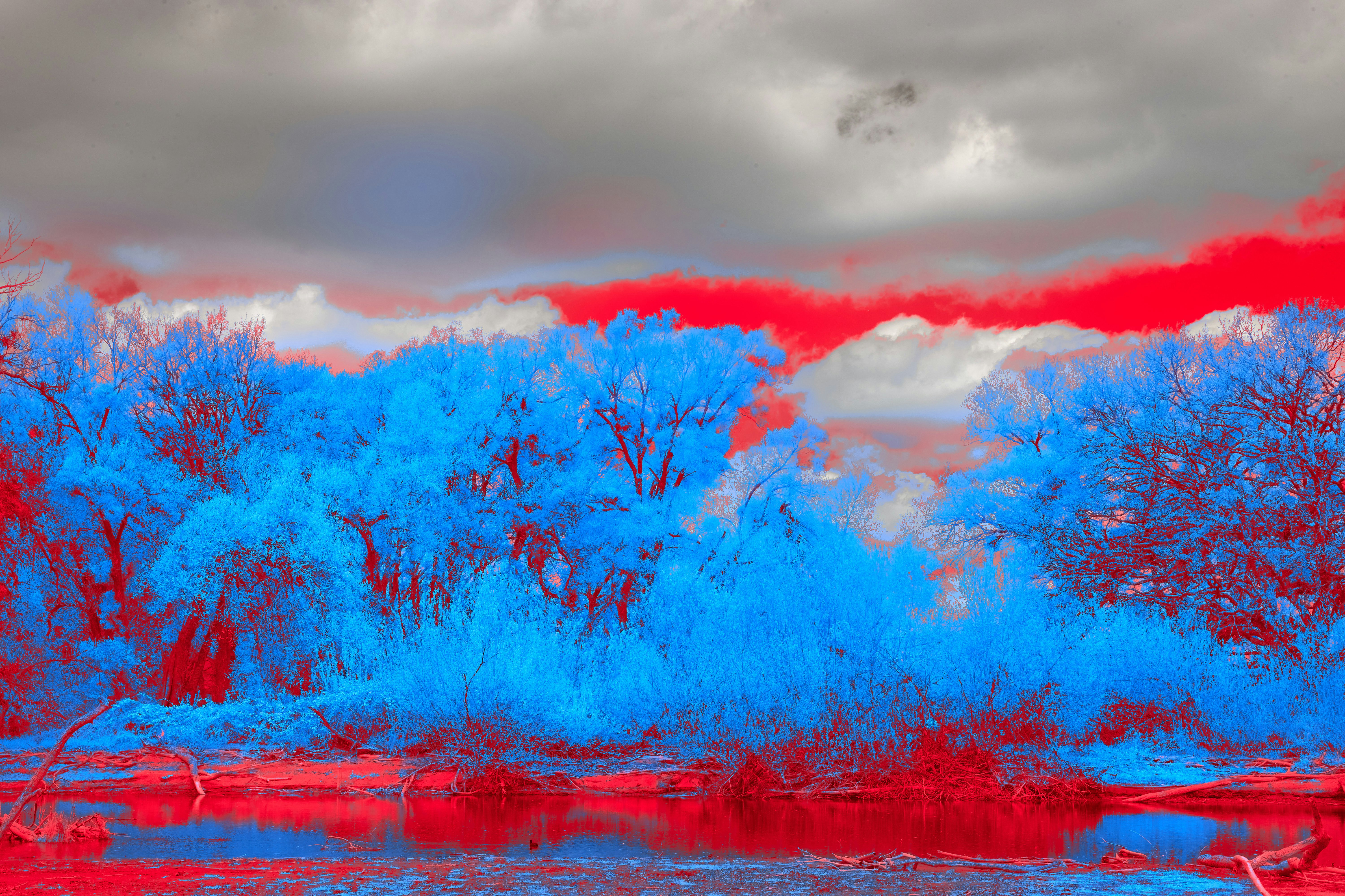 A surreal landscape with bright blue trees and red foliage reflected in a calm river
