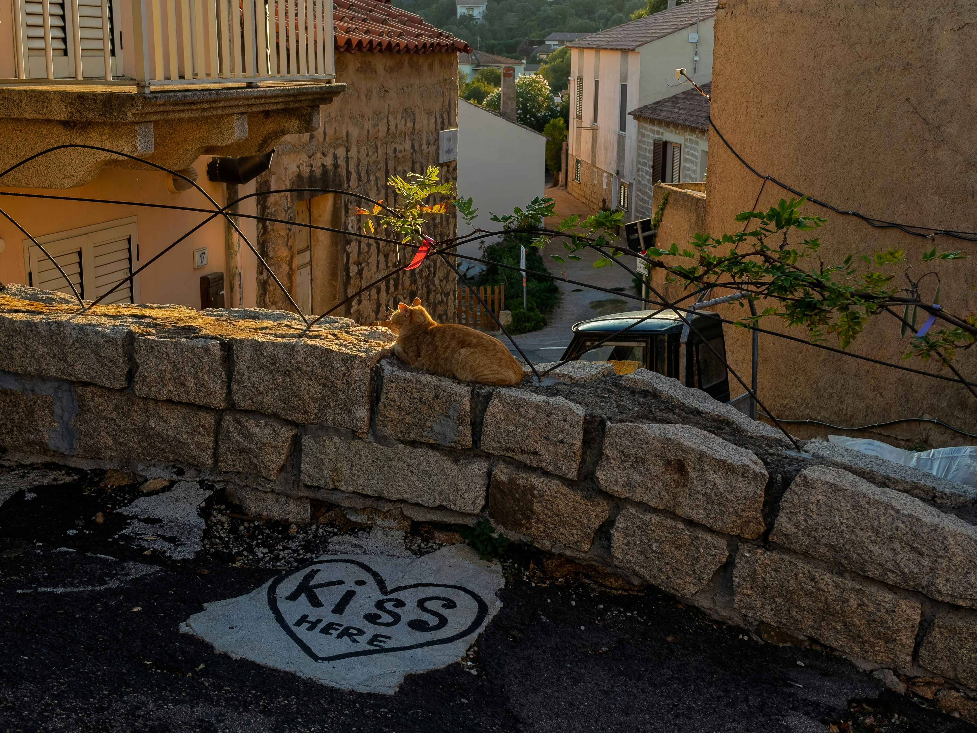 An orange cat resting on a stone wall above a street with a heart painted on the ground