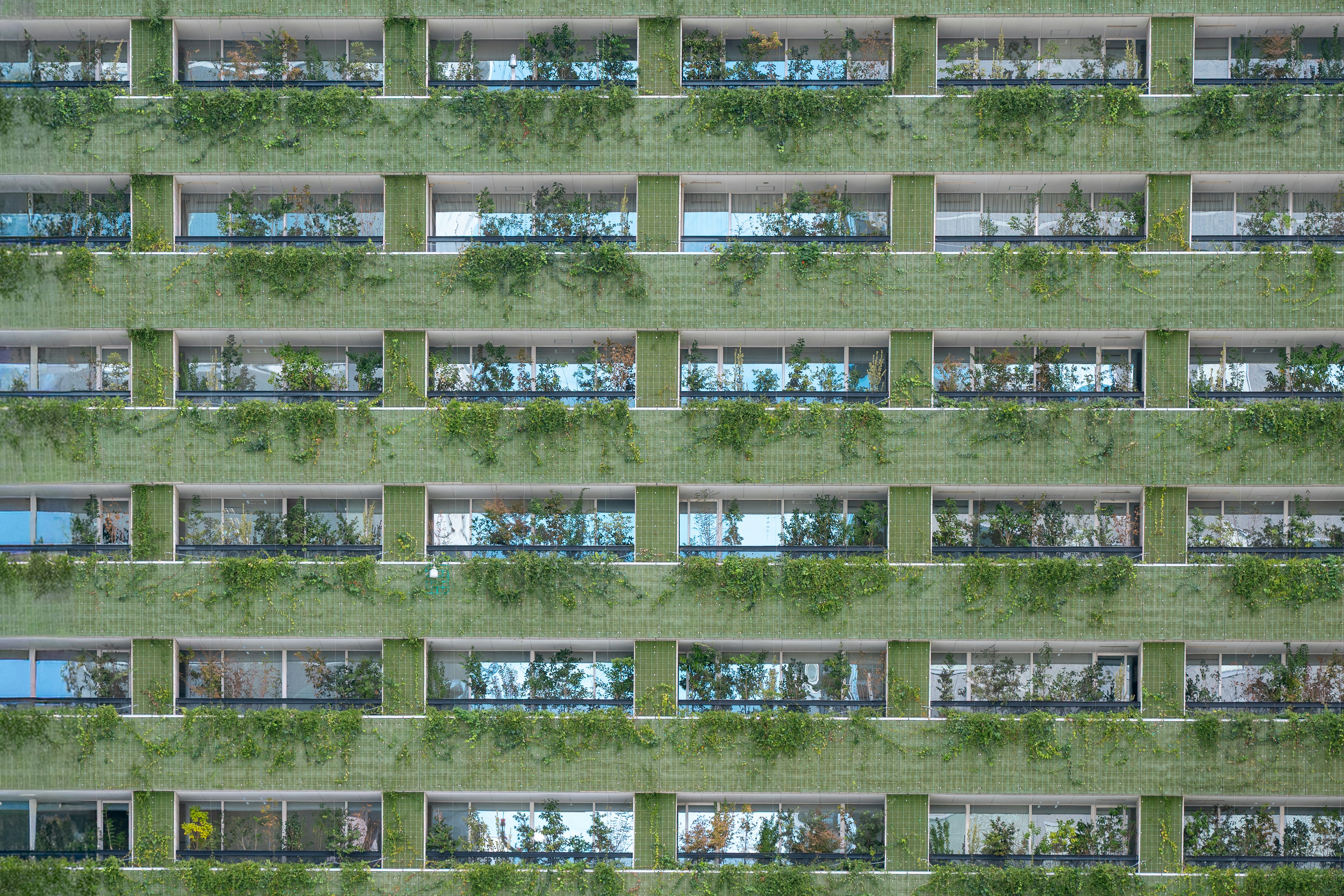 Building facade with green climbing plants - Free Photo on Unsplash