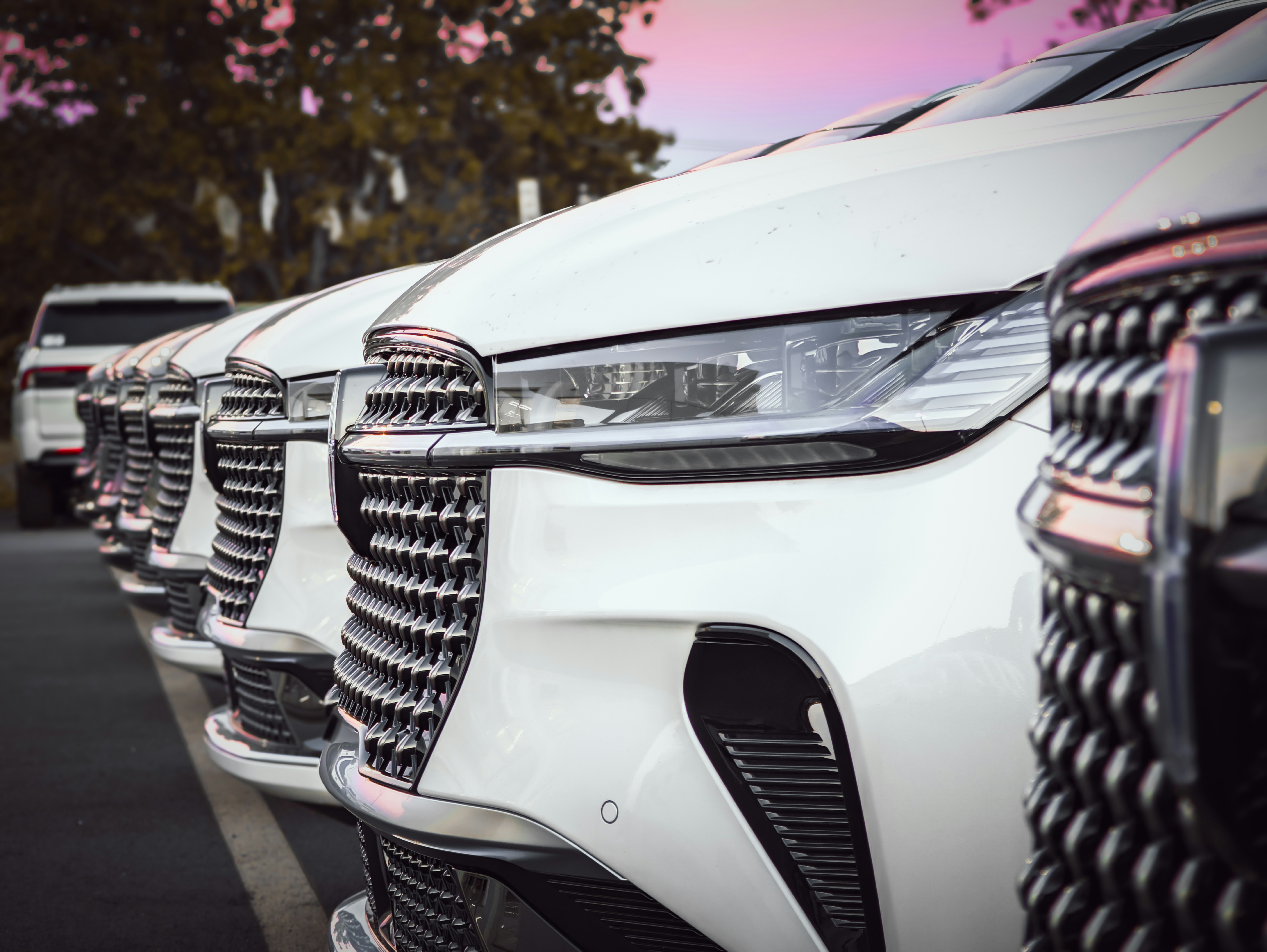 2020 White Pickup