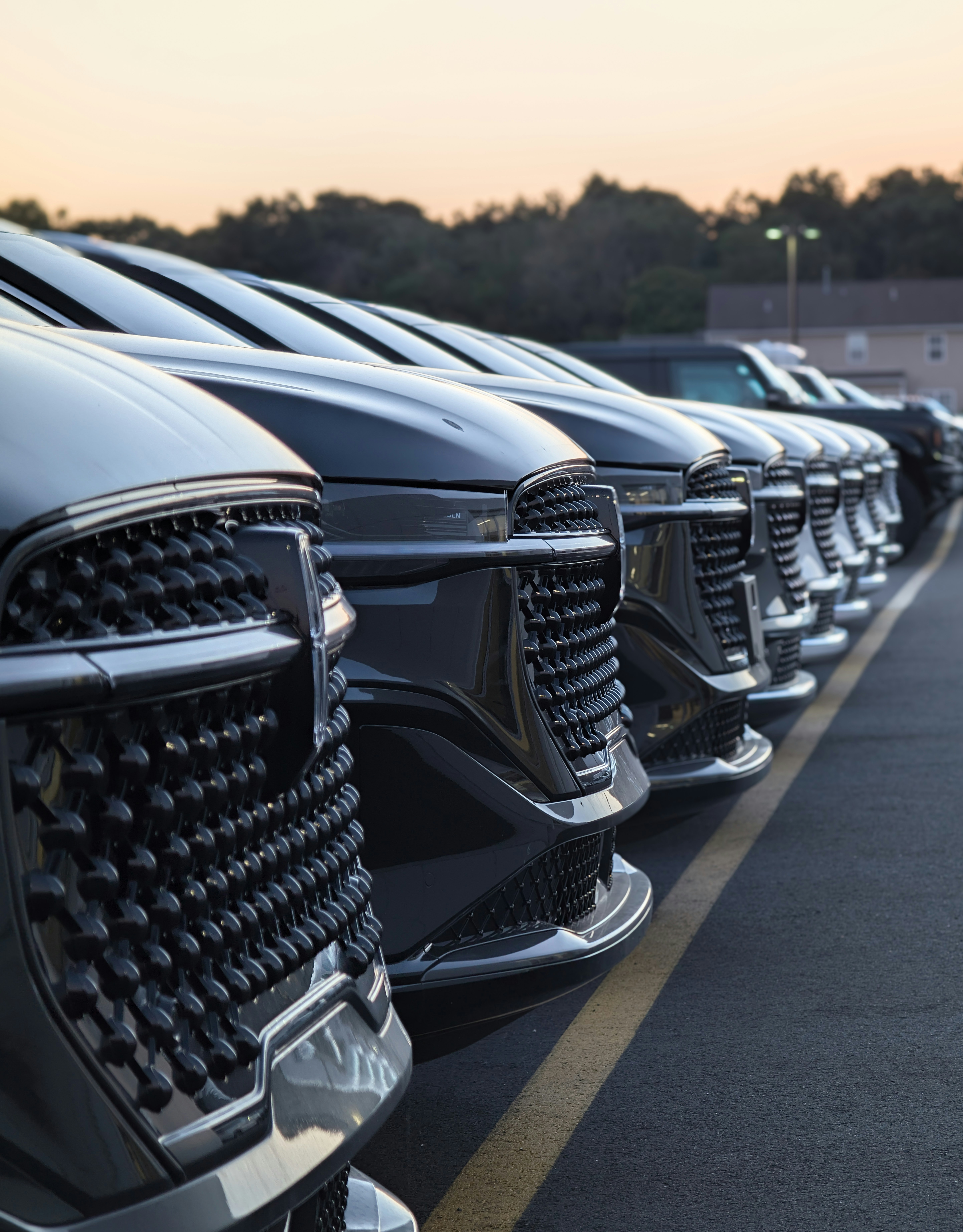 A row of black SUVs parked in a line on an asphalt lot at golden hour