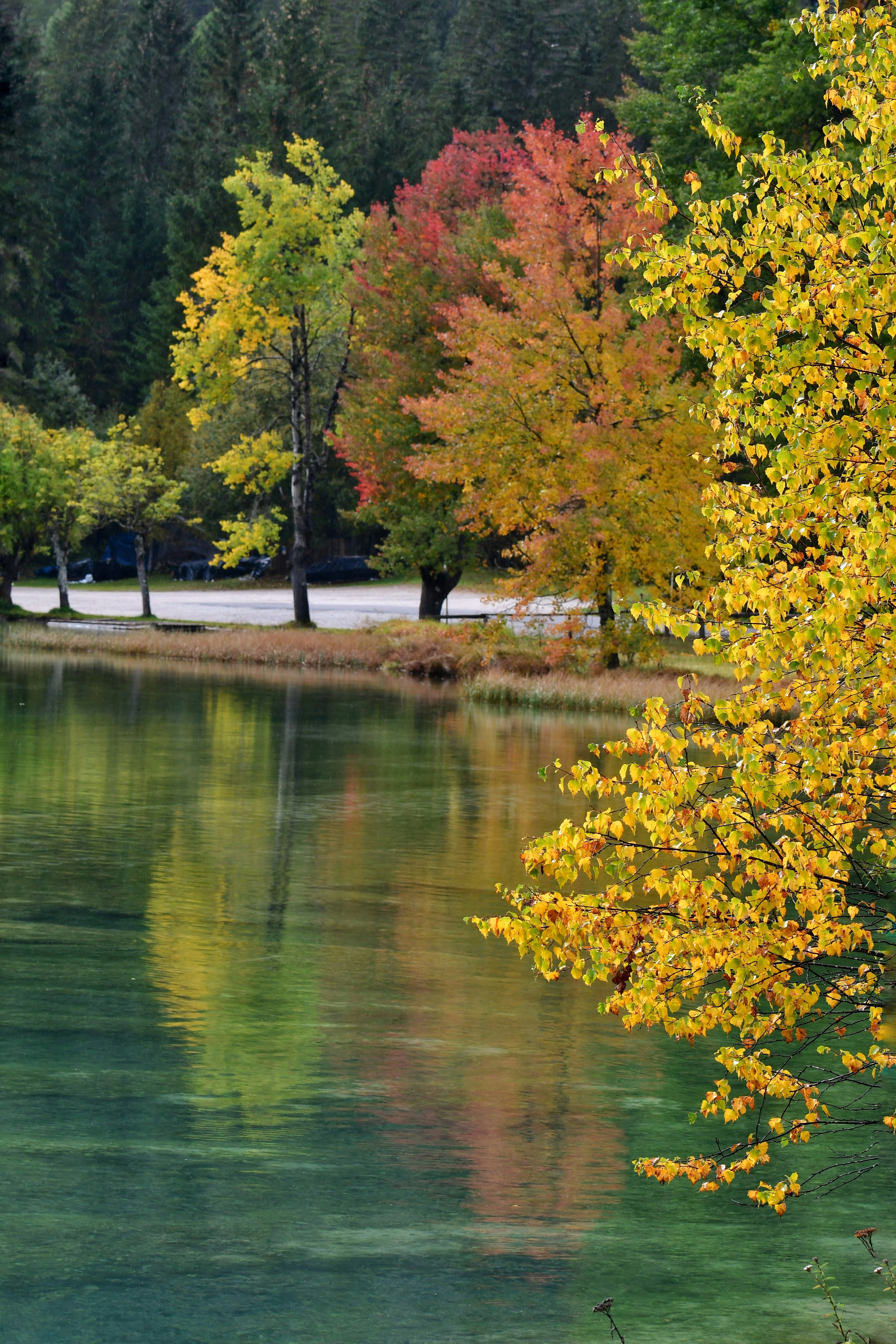 Árboles otoñales con hojas amarillas y rojas reflejadas en un lago verde y tranquilo