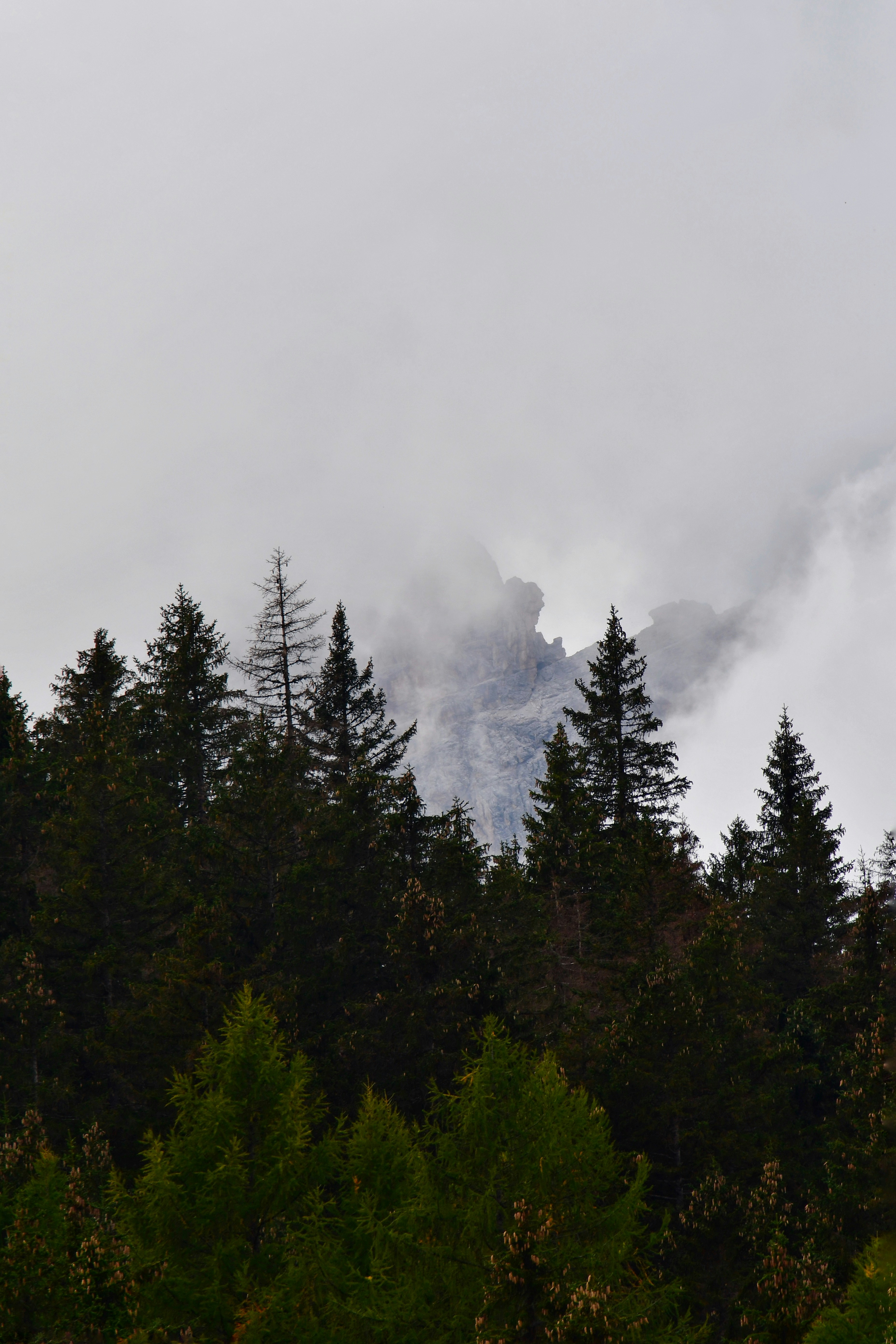 Una cima rocosa de montaña parcialmente oculta por densas nubes bajas sobre un denso bosque perenne
