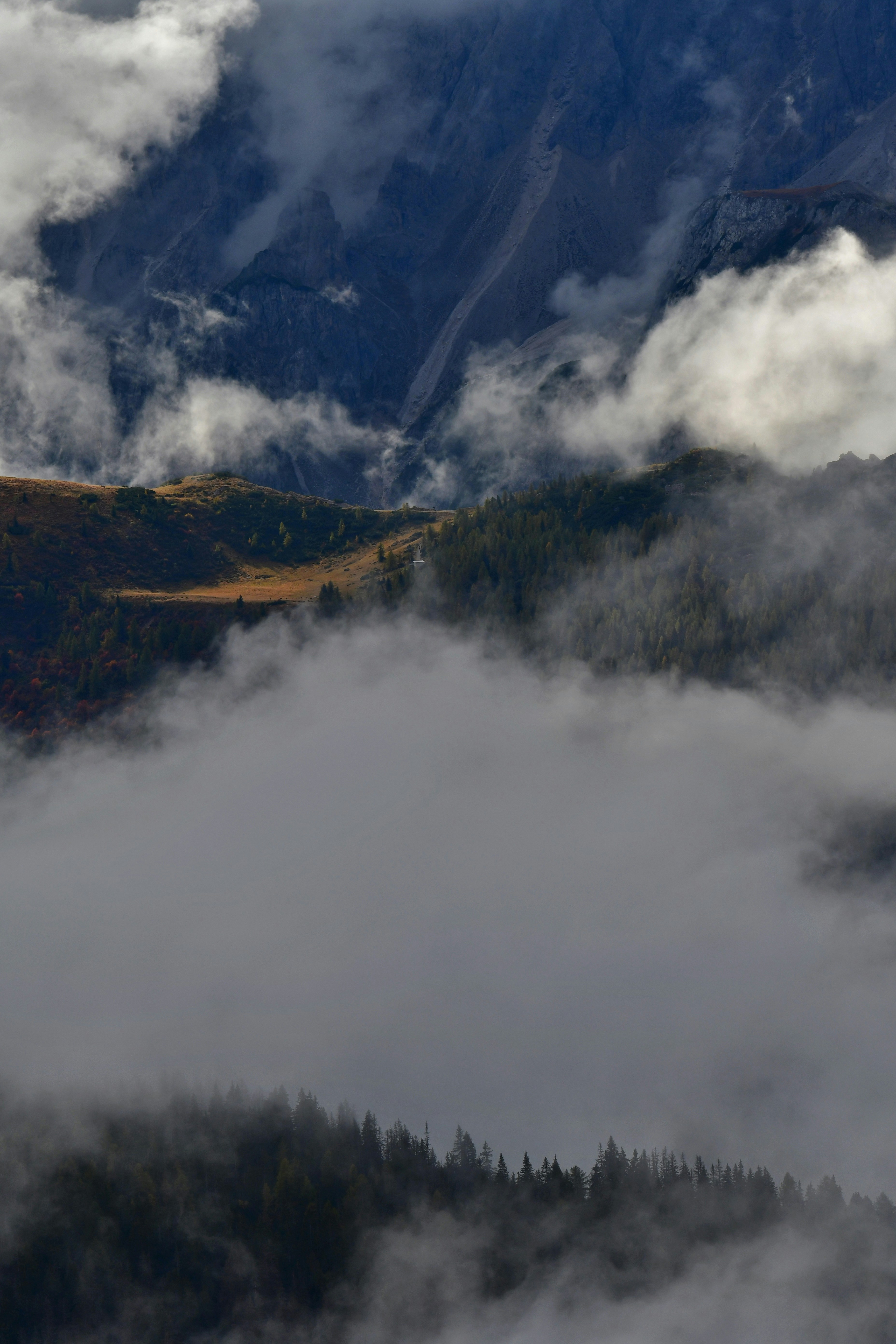 Nubes densas que se deslizan por un valle bajo picos montañosos escarpados y bosques perennes