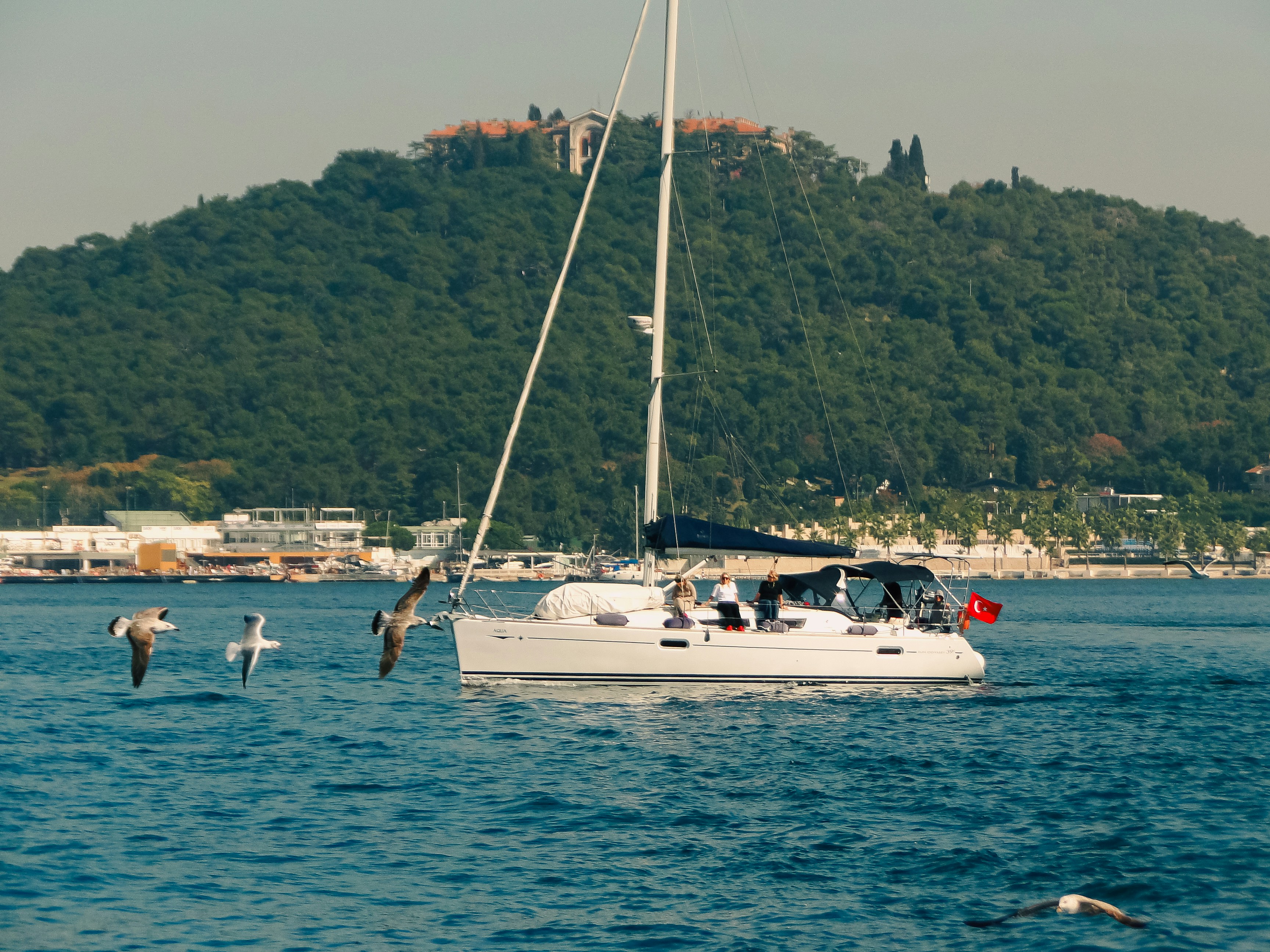 Sailboat with Turkish flag in Istanbul - Free Photo on Unsplash