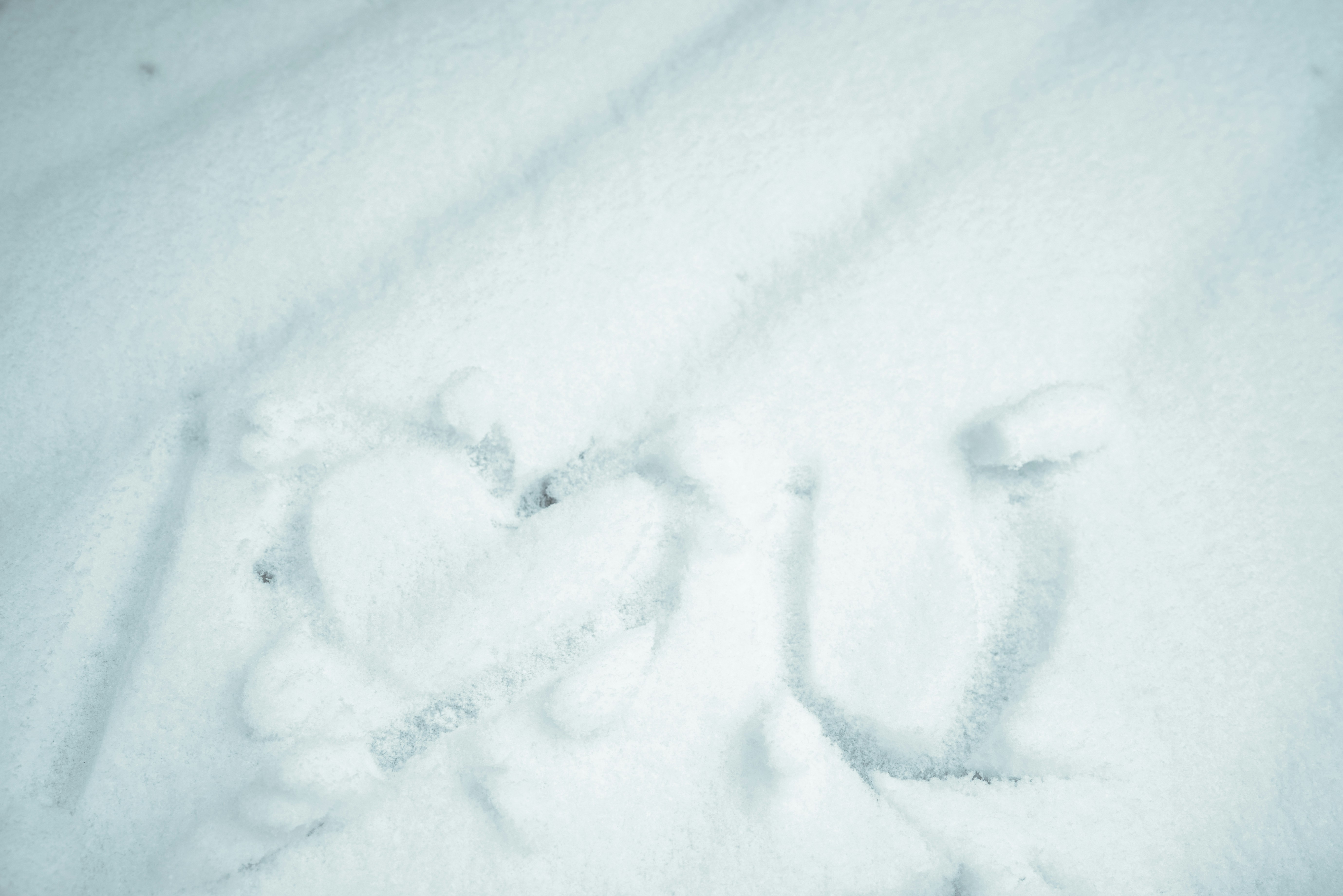 The words I love you written in fresh white snow
