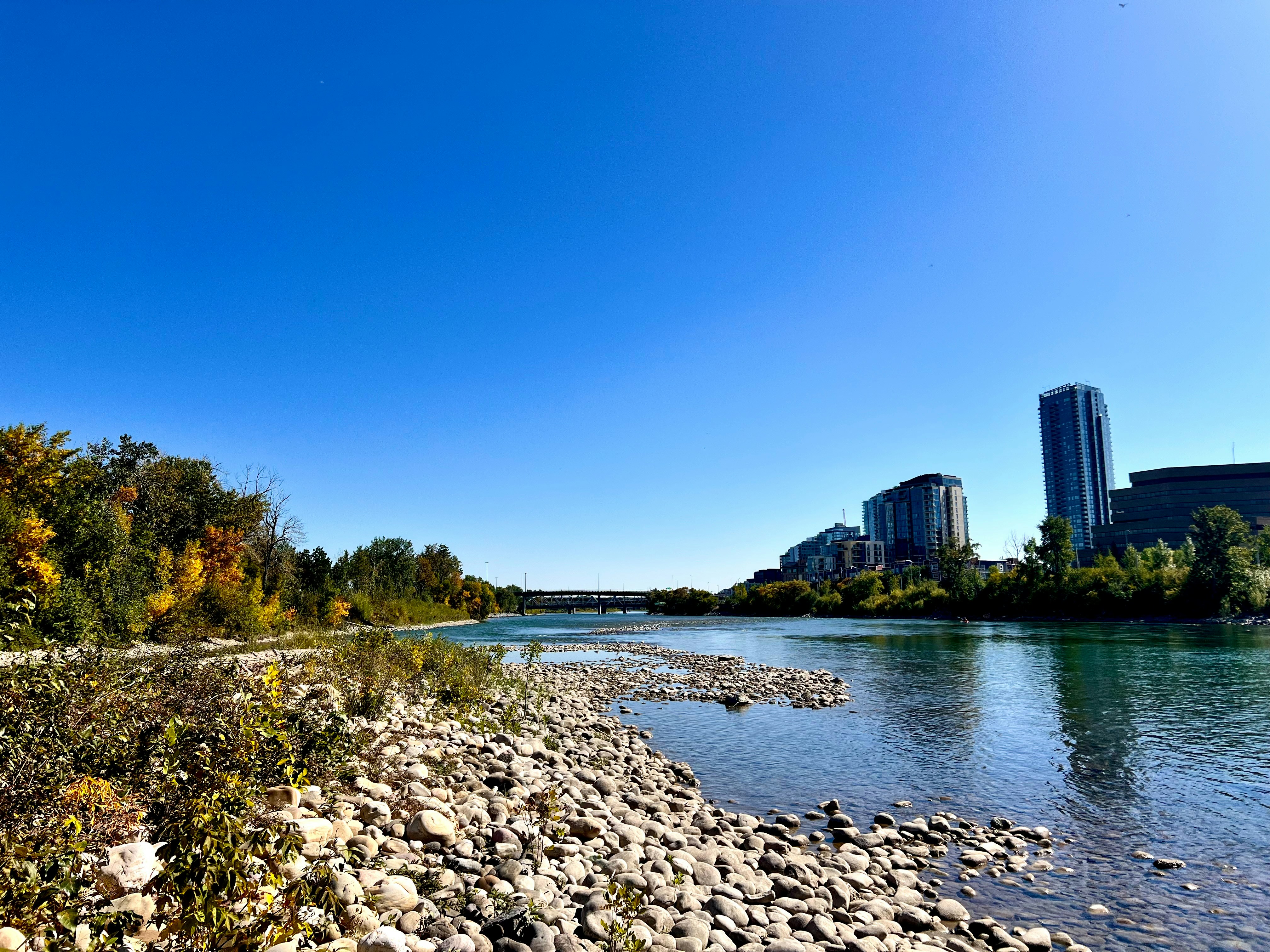 River flowing past city skyline - Free Photo on Unsplash