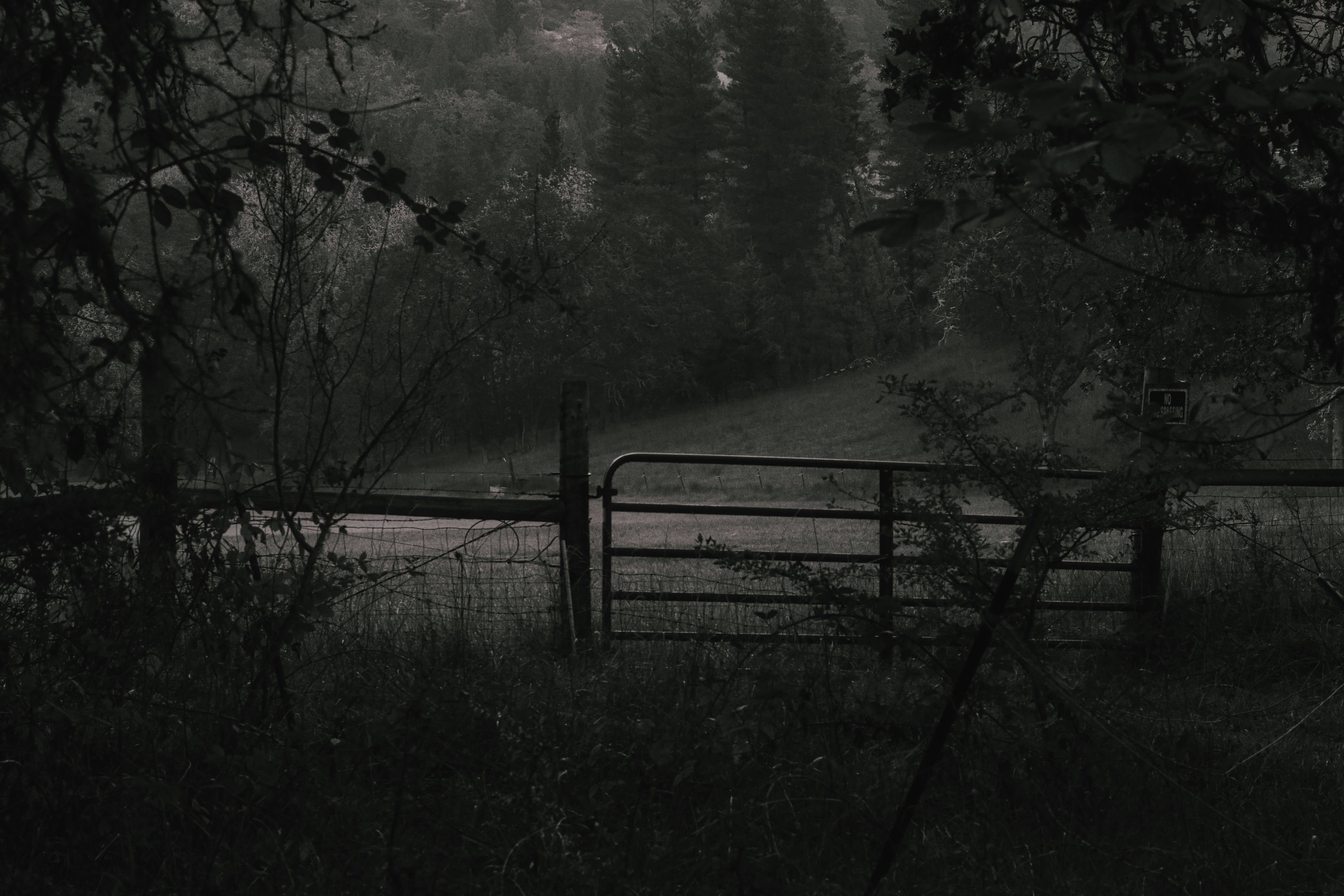 A metal farm gate in a wire fence bordering a dark forest and grassy field