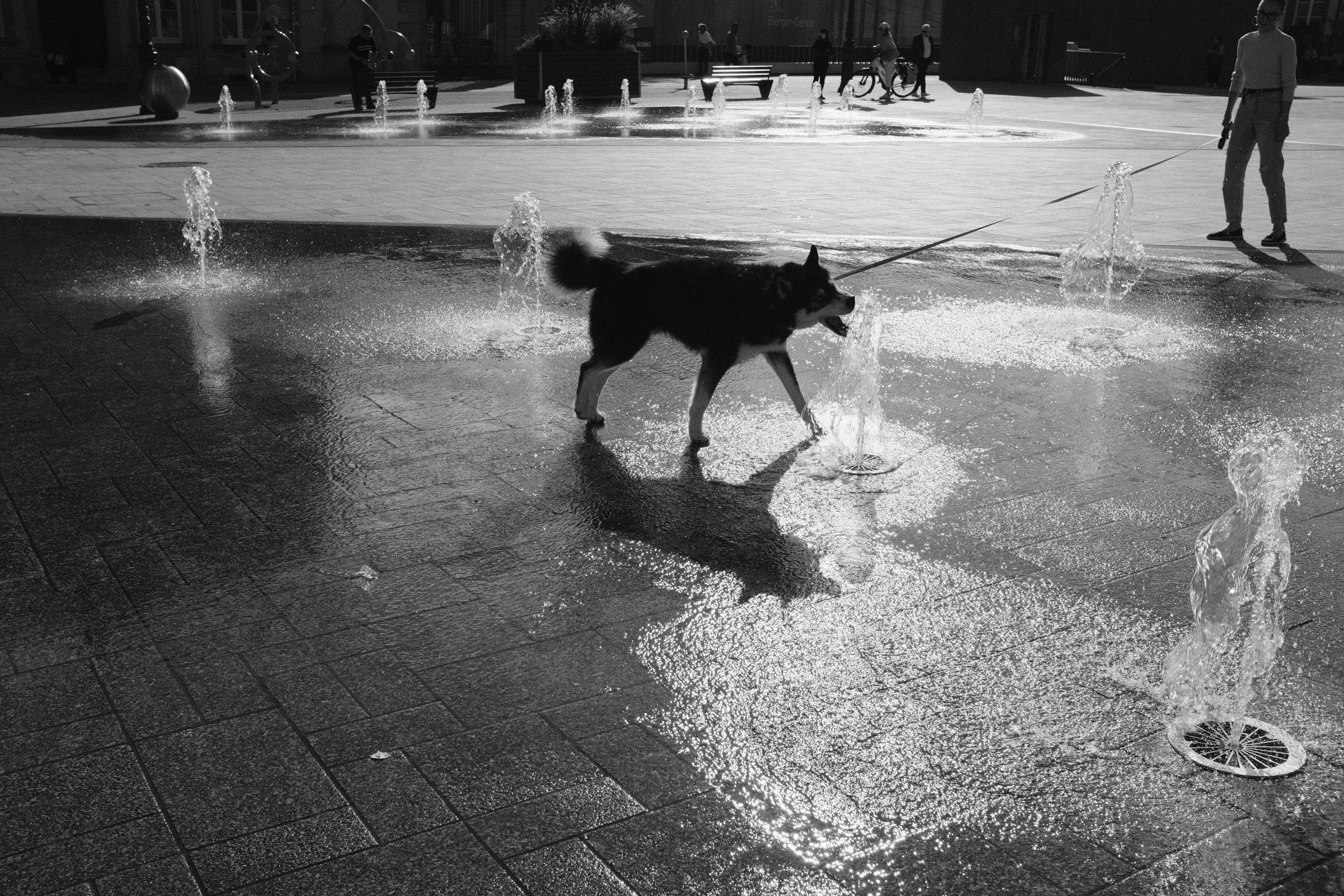 Dogwash E.Leclerc (Attin) — Attin
