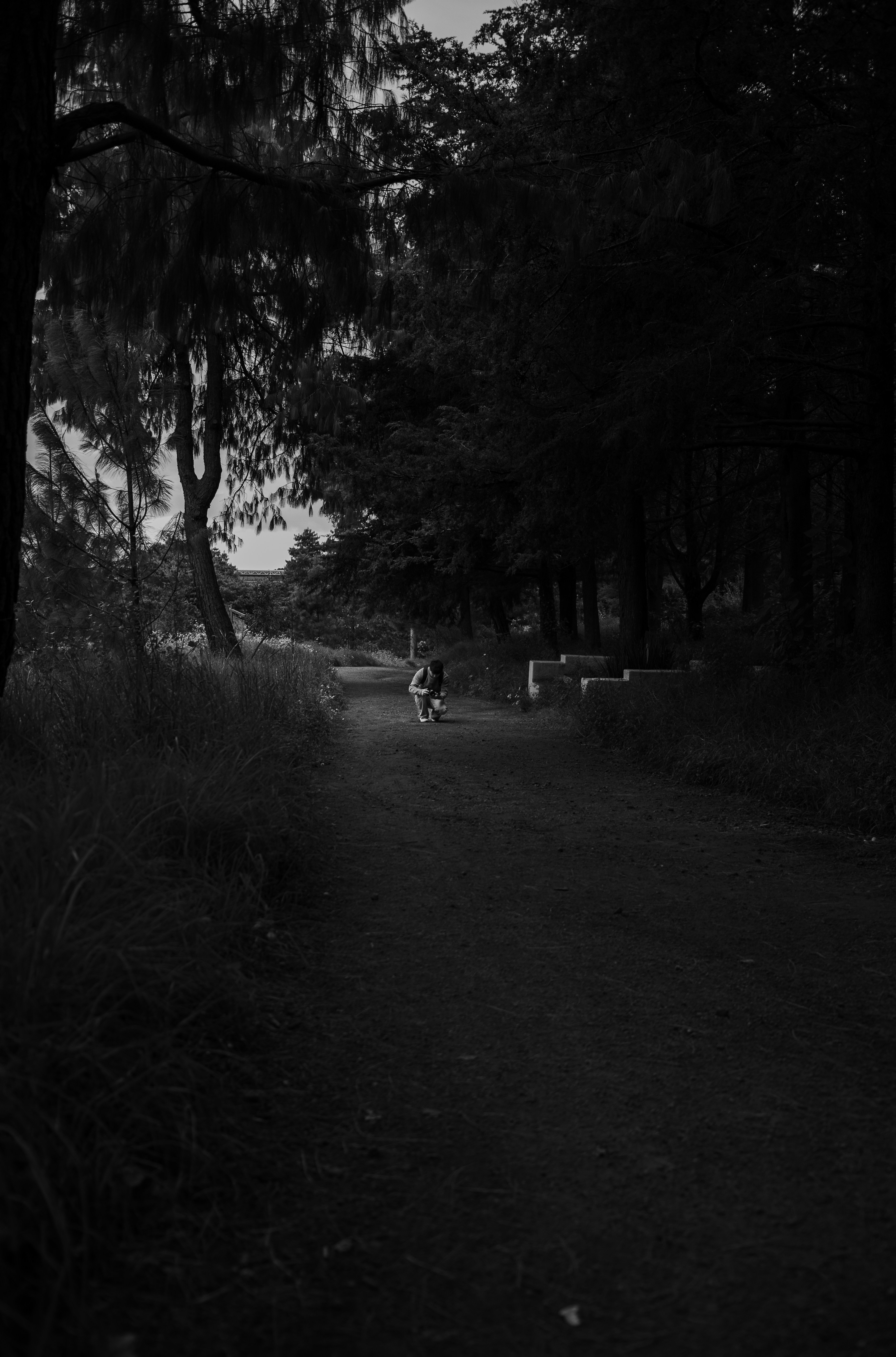 A person crouching on a dirt path in a dark forest, black and white