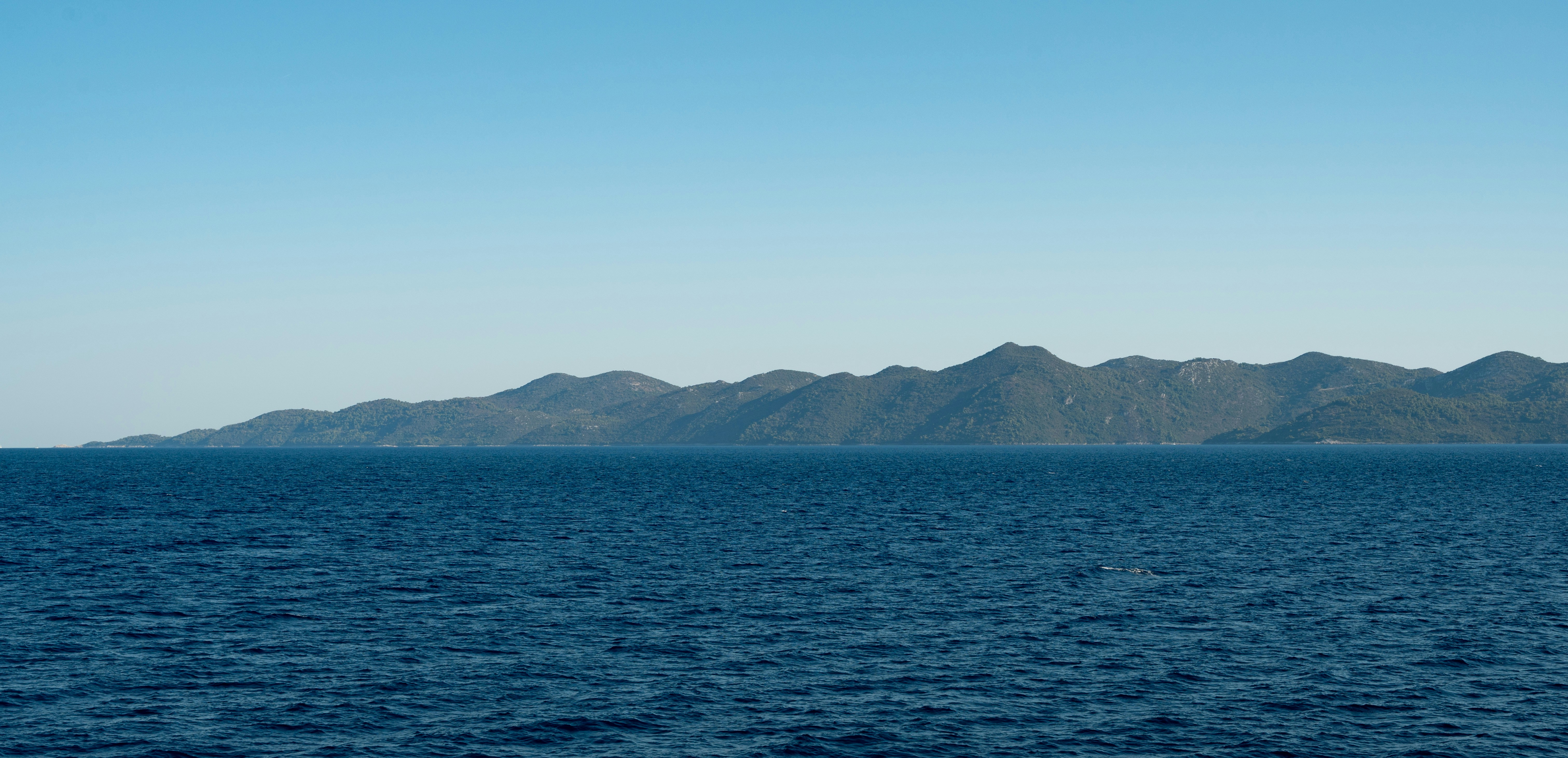 Forested island in deep blue sea - Free Photo on Unsplash
