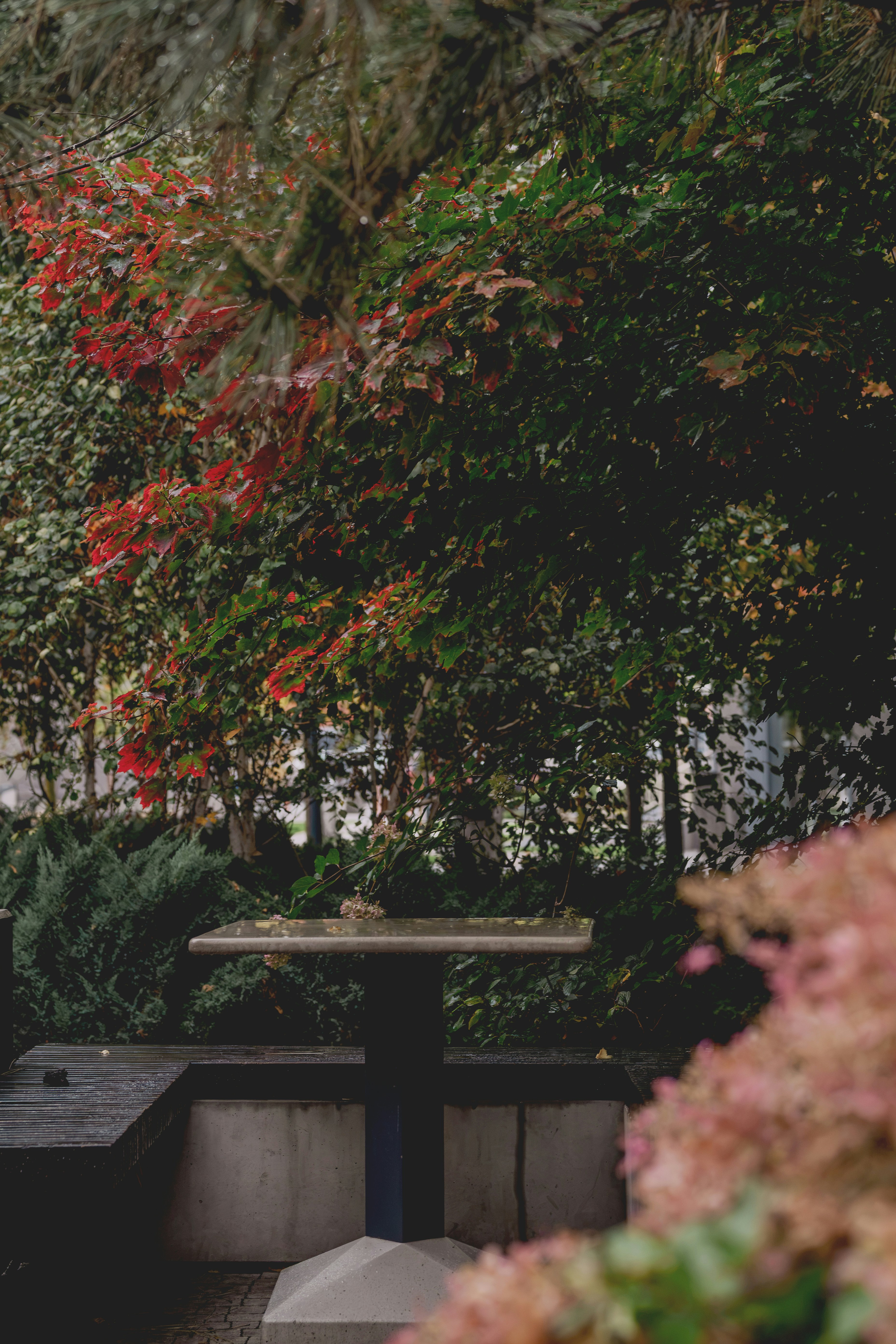 Una pequeña mesa sobre una terraza de madera rodeada de un frondoso follaje otoñal