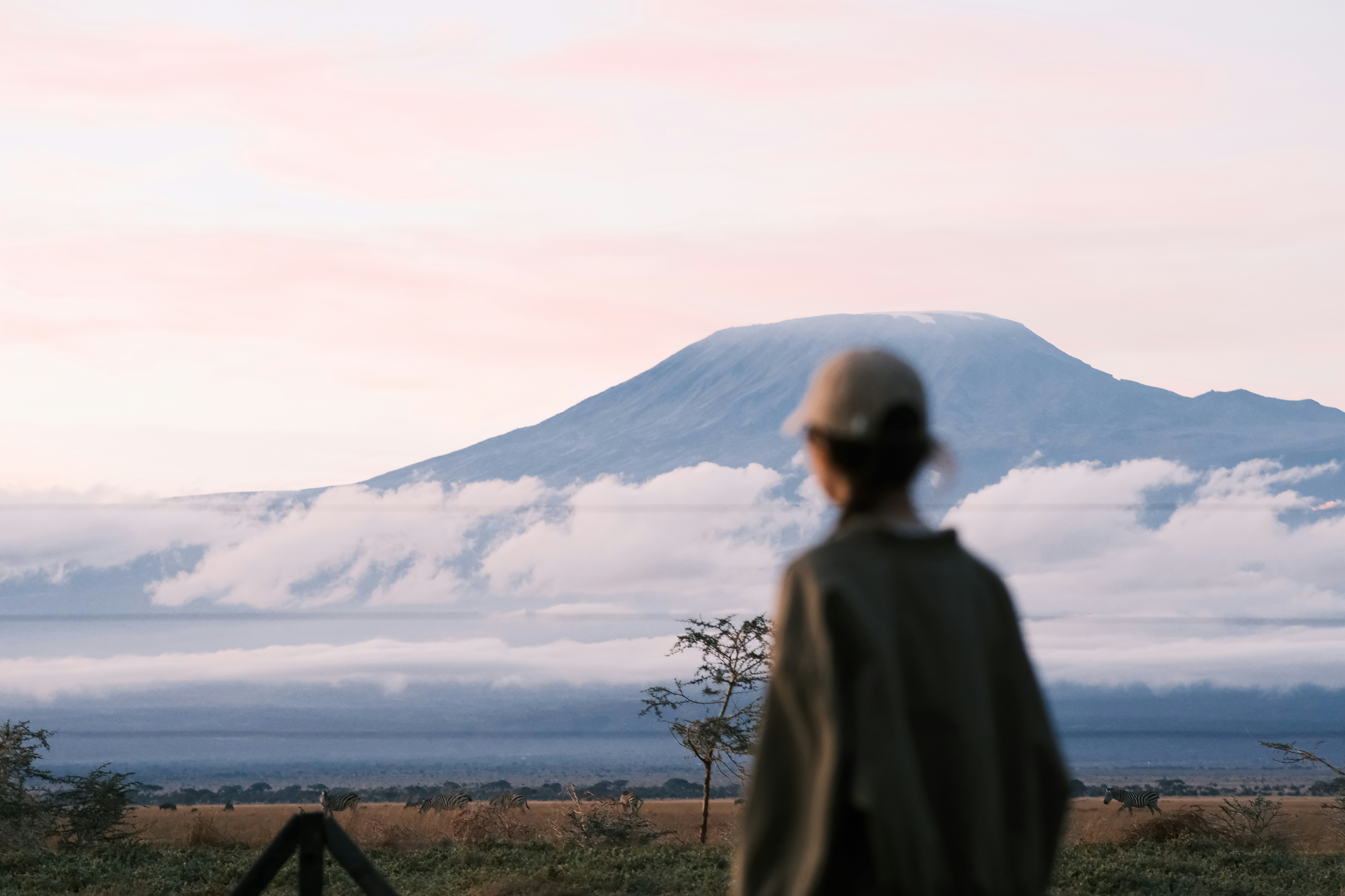 Person looking at Mount Kilimanjaro - Free Photo on Unsplash