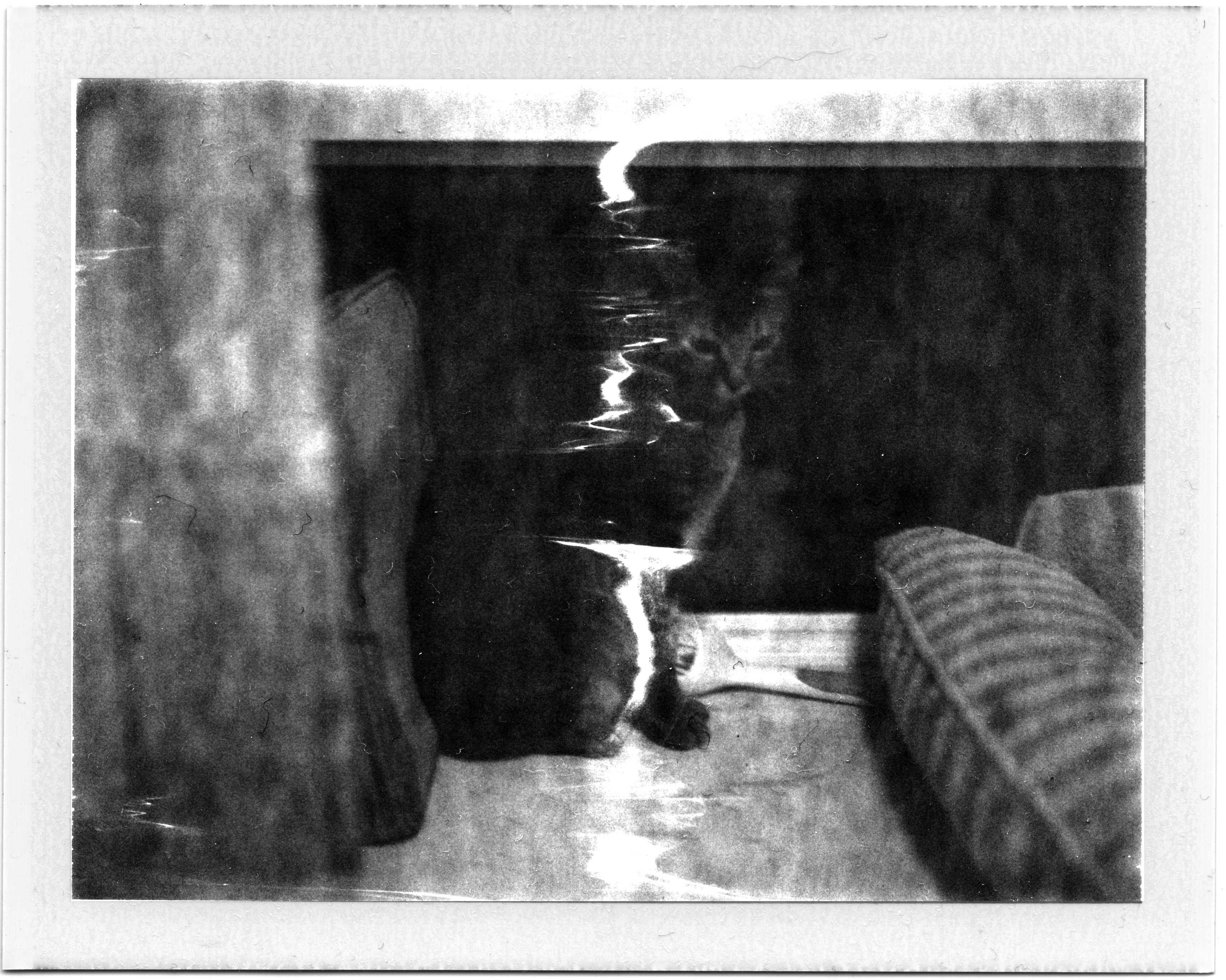 A black and white photograph of a dark cat sitting indoors near pillows