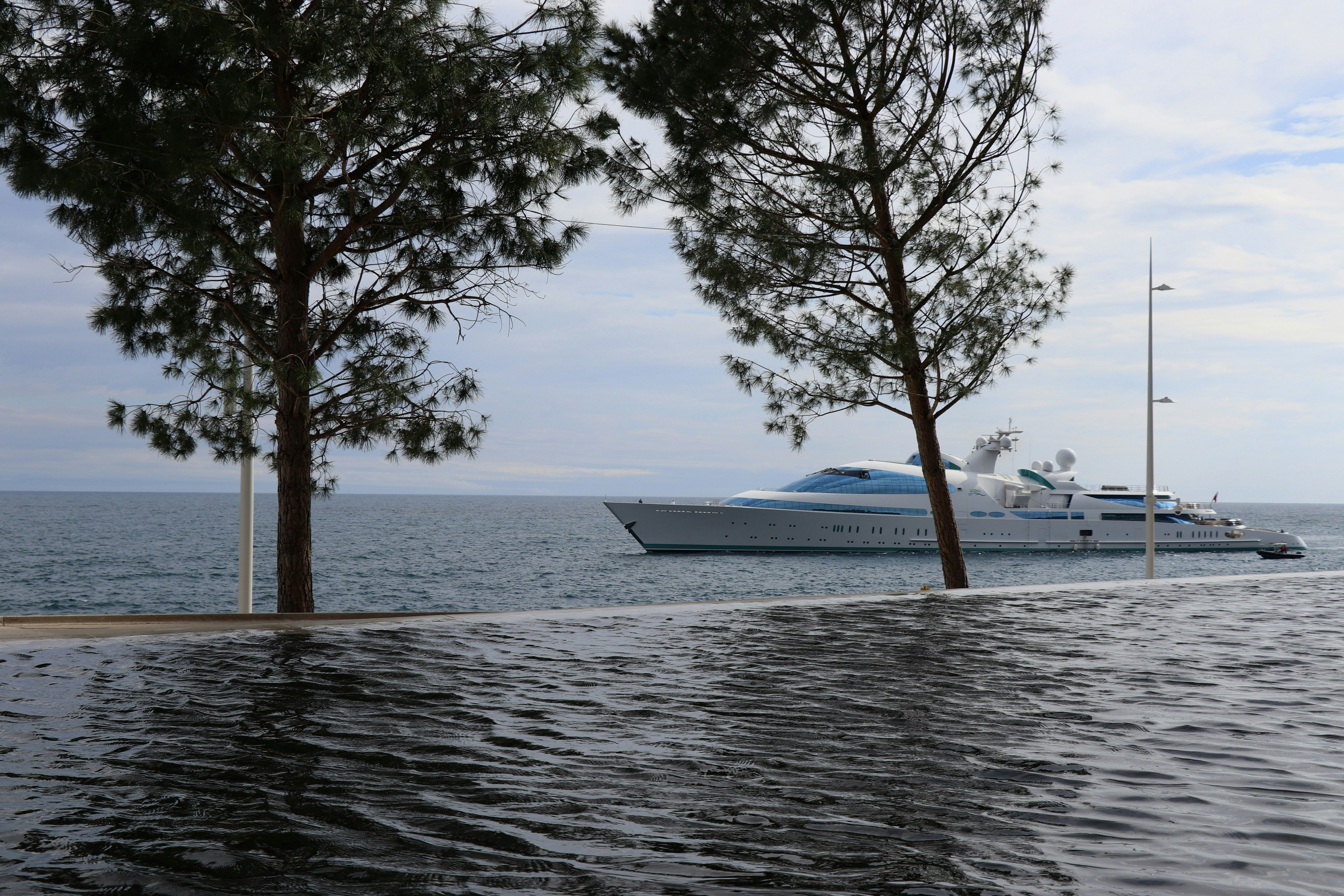 White yacht on sea behind trees - Free Photo on Unsplash
