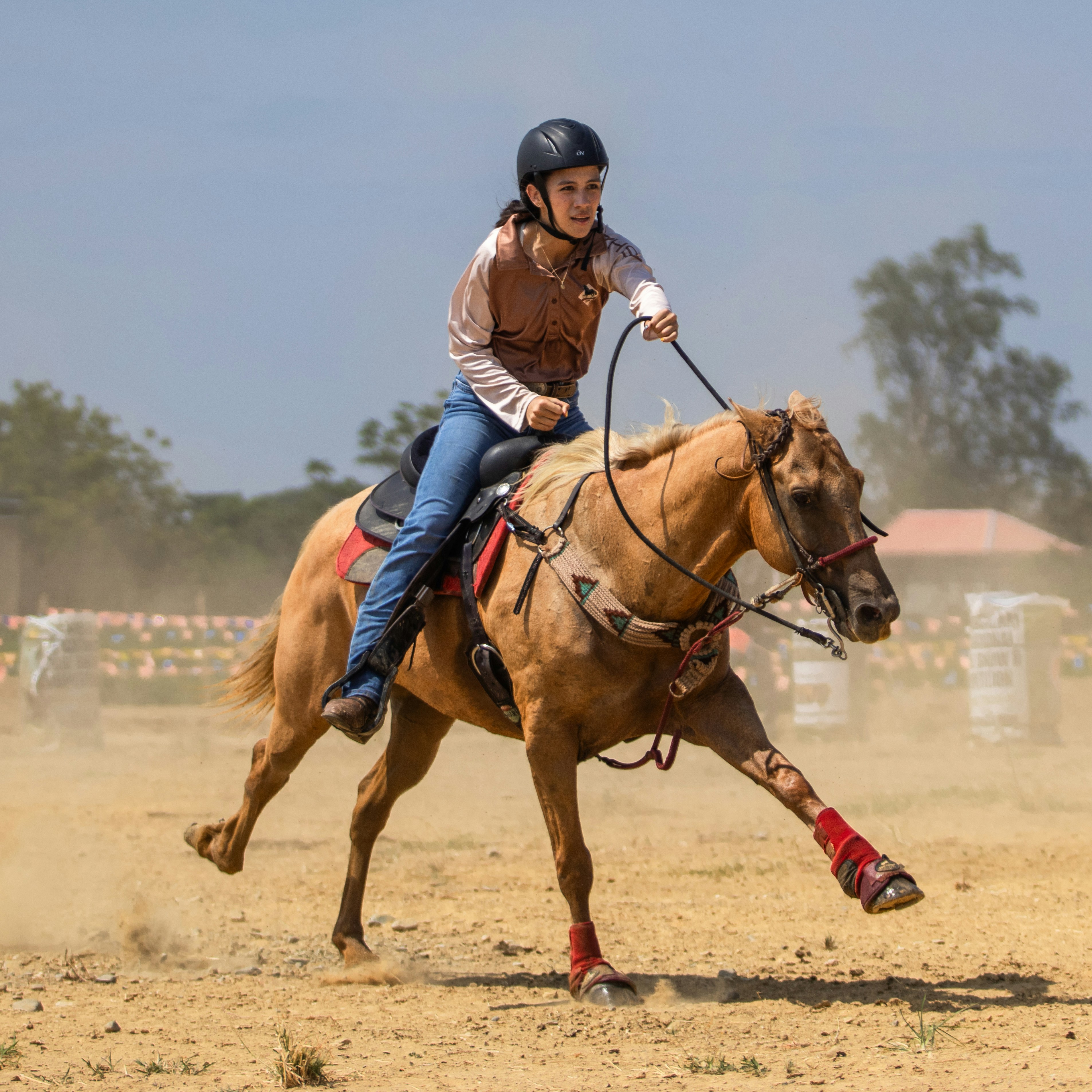Woman riding galloping horse in arena - Free Photo on Unsplash