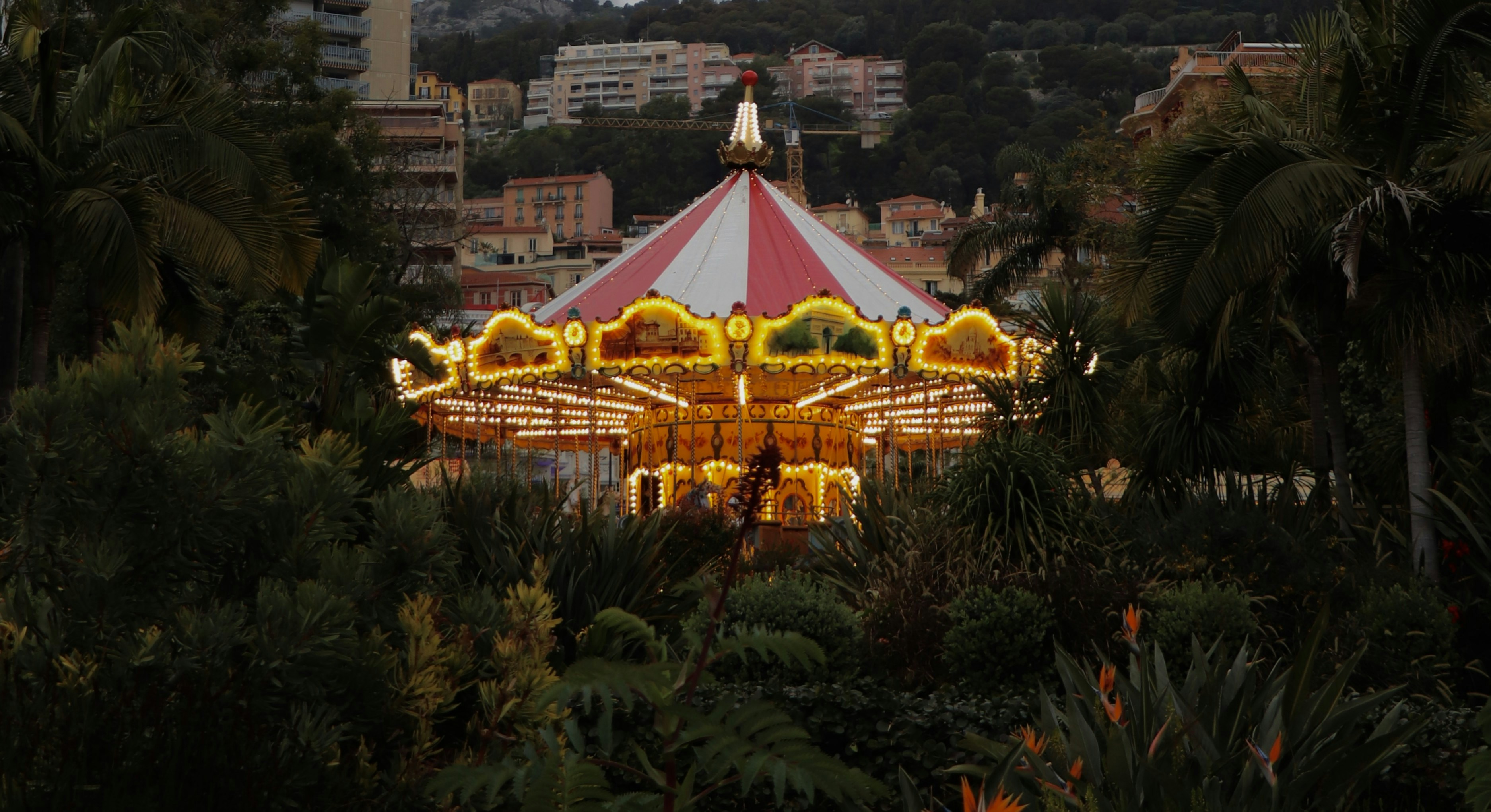 A brightly lit carousel with a red and white canopy surrounded by palm trees at dusk
