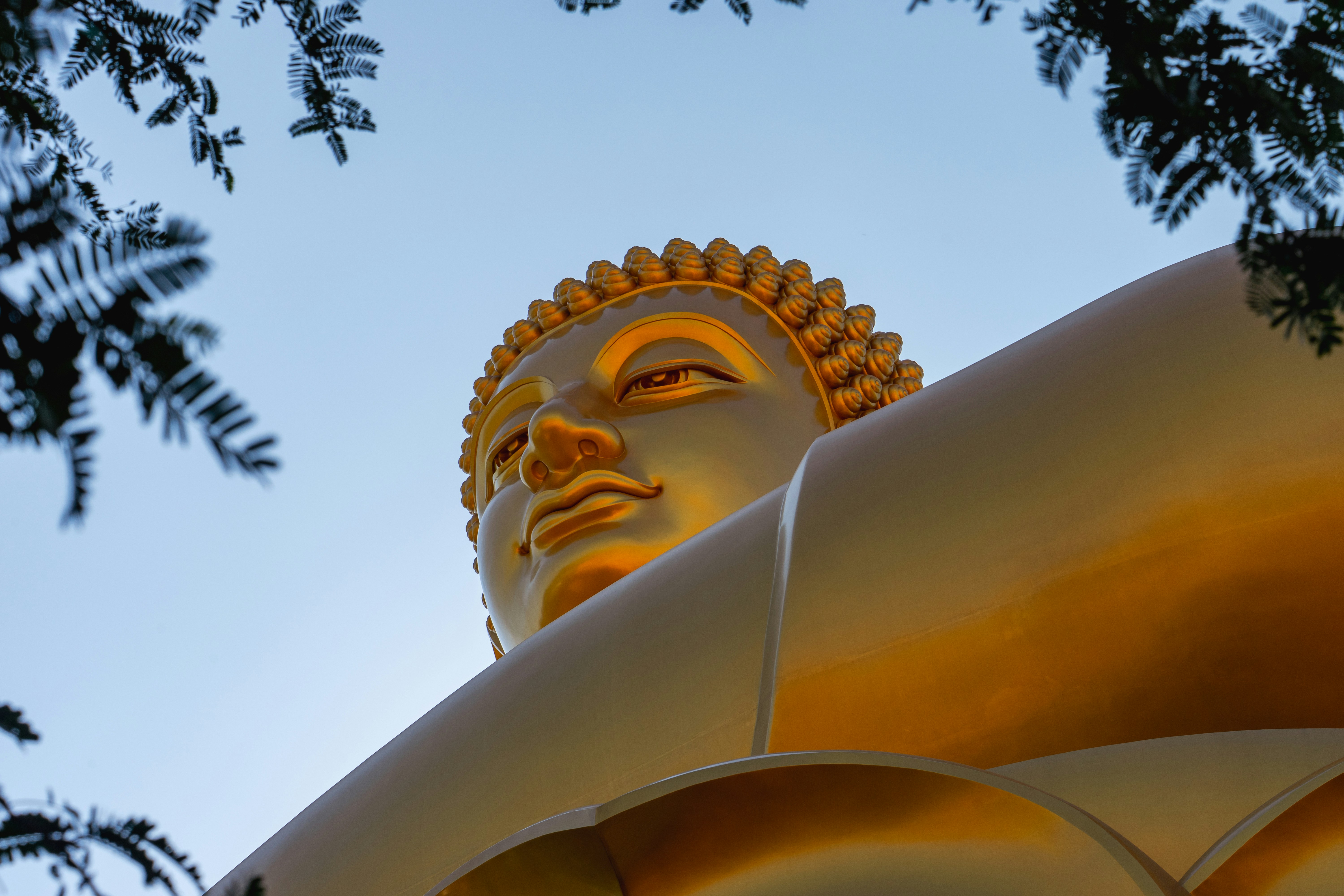 Vue en bas d’une statue géante de Bouddha doré encadrée par des branches d’arbres sombres