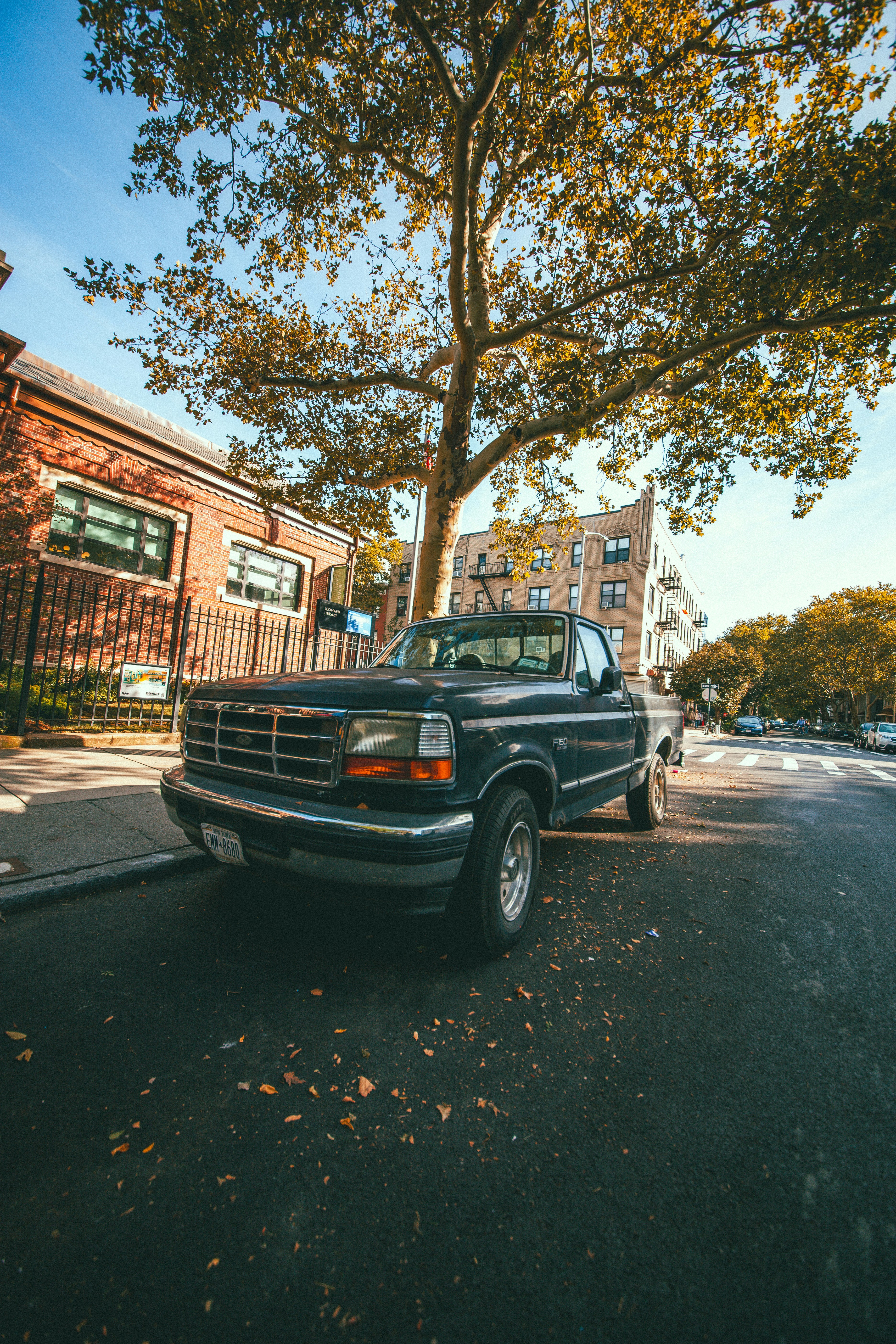 A dark pickup truck parked on a street in New York under a large tree