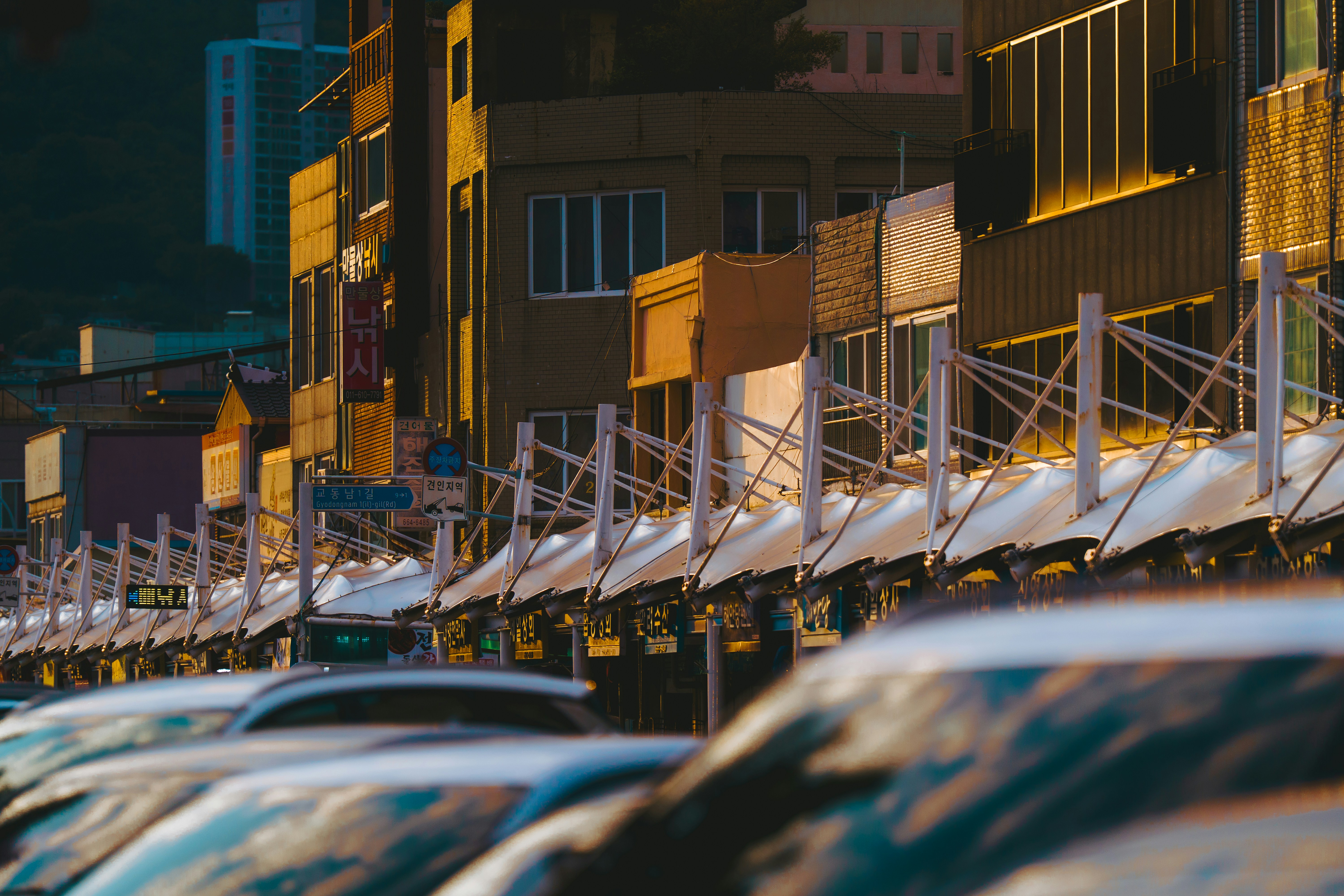 A row of white tent canopies along a street with buildings in warm golden light