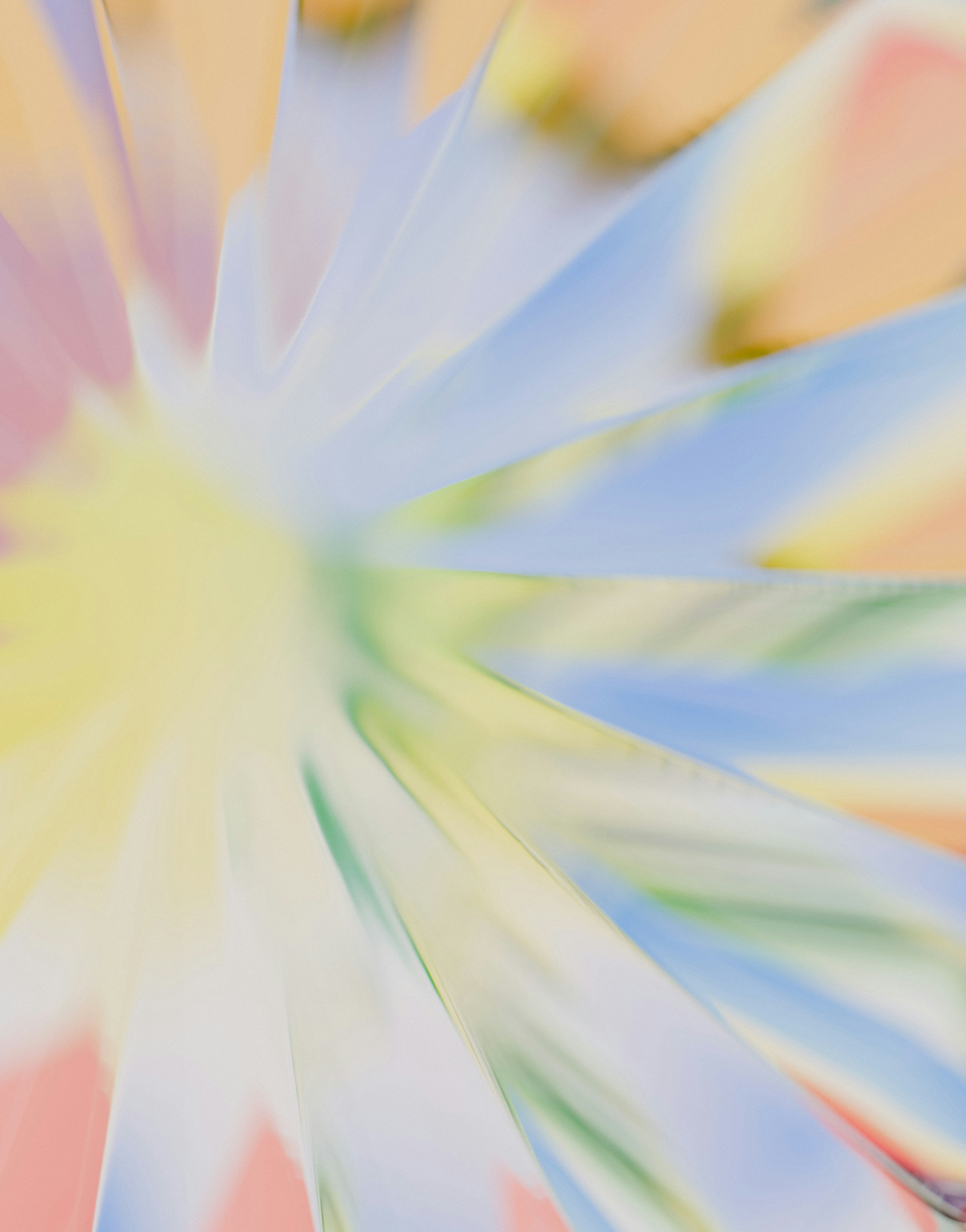 Abstract translucent petals in pastel colors - Free Photo on Unsplash