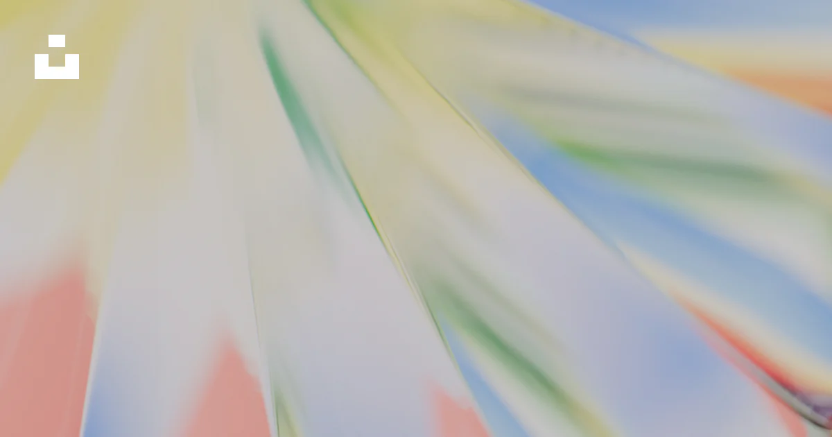 Abstract translucent petals in pastel colors - Free Photo on Unsplash