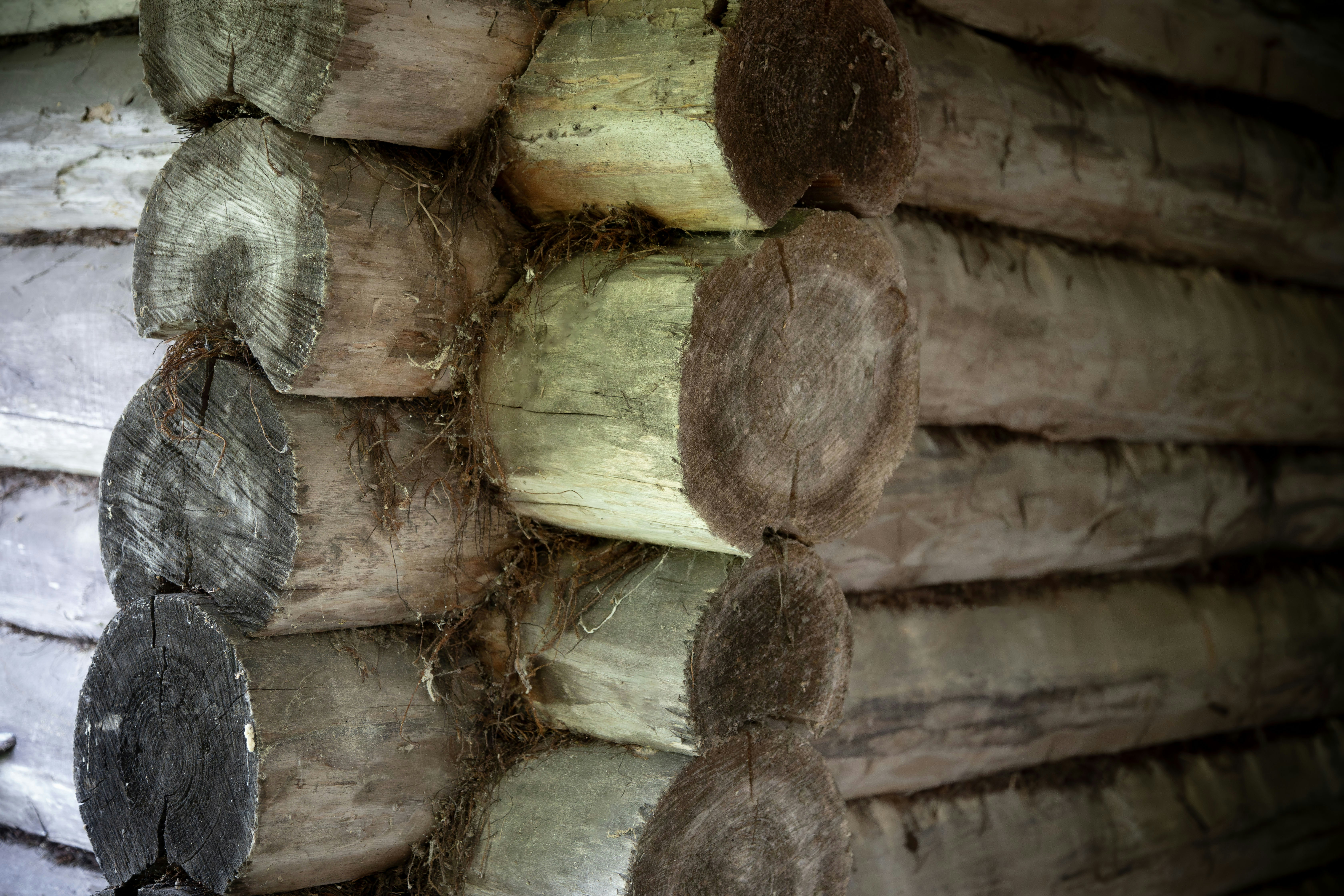 Rustic log cabin corner construction - Free Photo on Unsplash