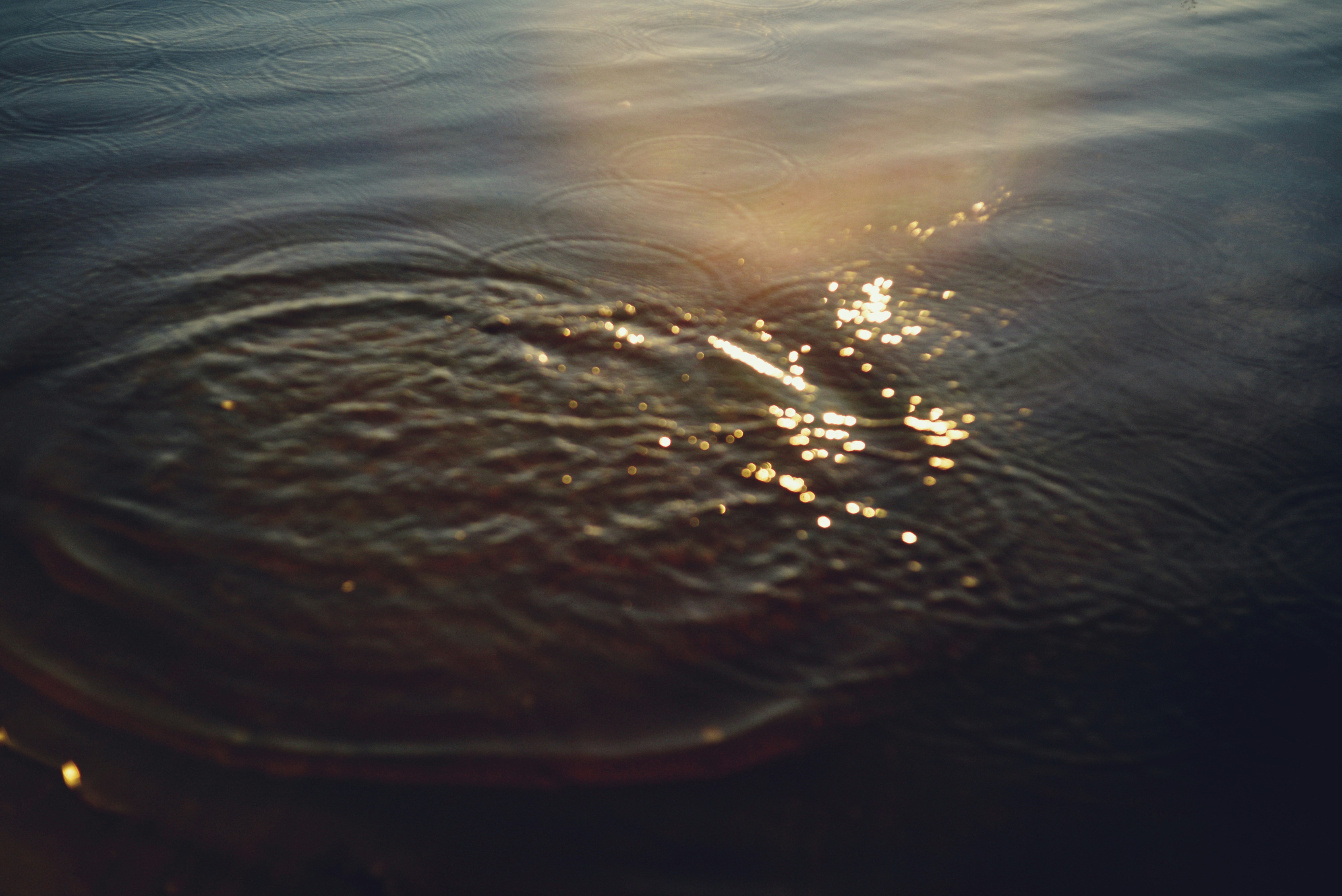 Des ondulations se répandant sur l’eau sombre avec une lumière dorée se reflétant à la surface