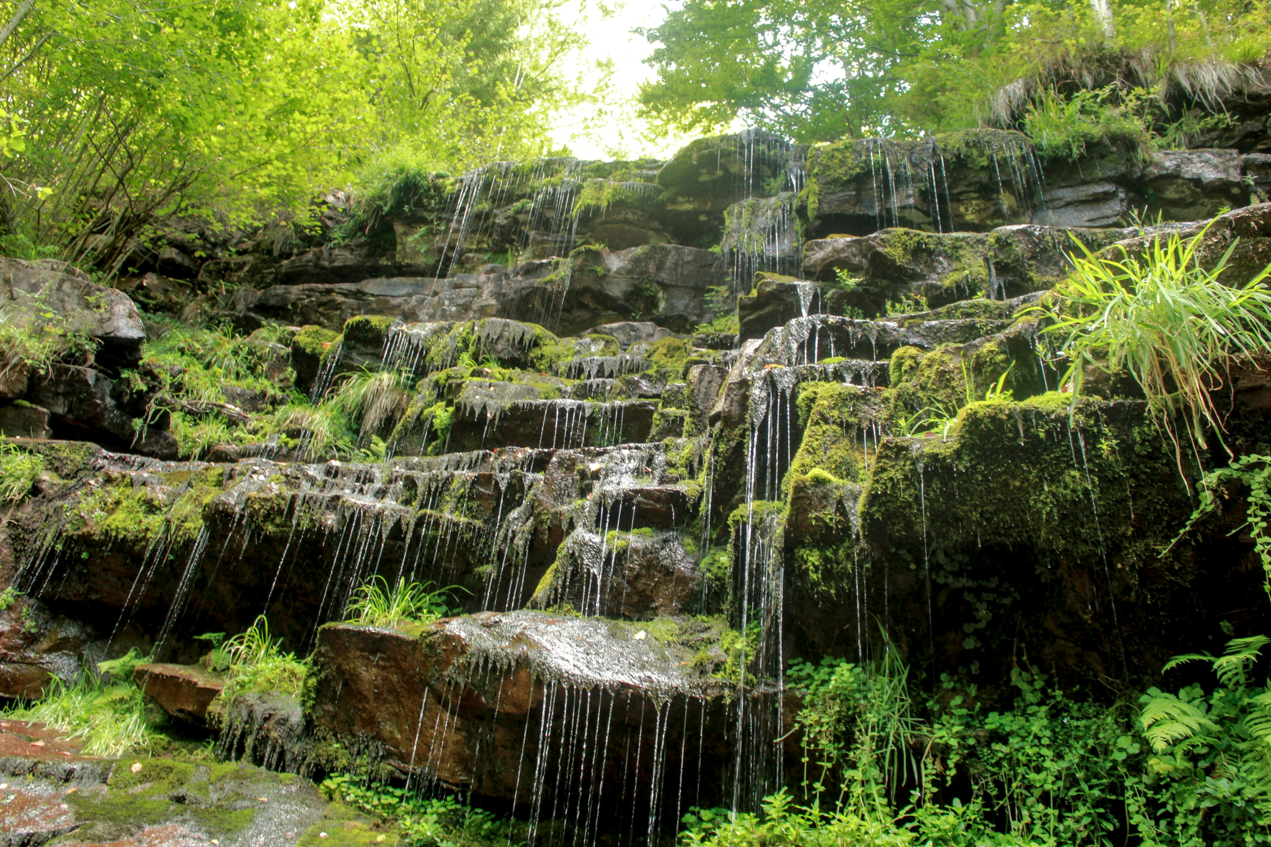 Water trickling down mossy rock ledges in a lush green forest