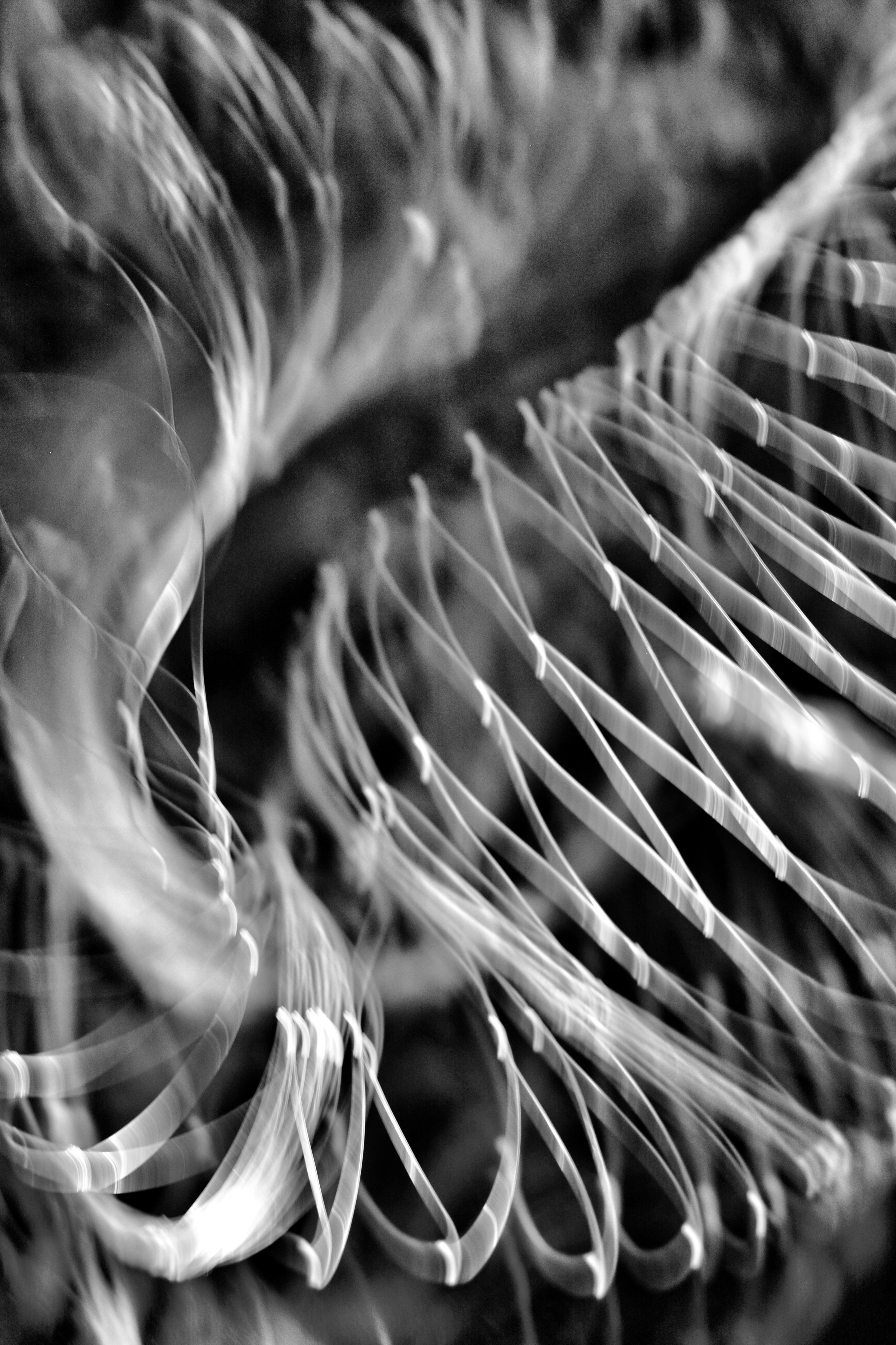 Abstract black and white long exposure of light trails forming a rhythmic wave pattern