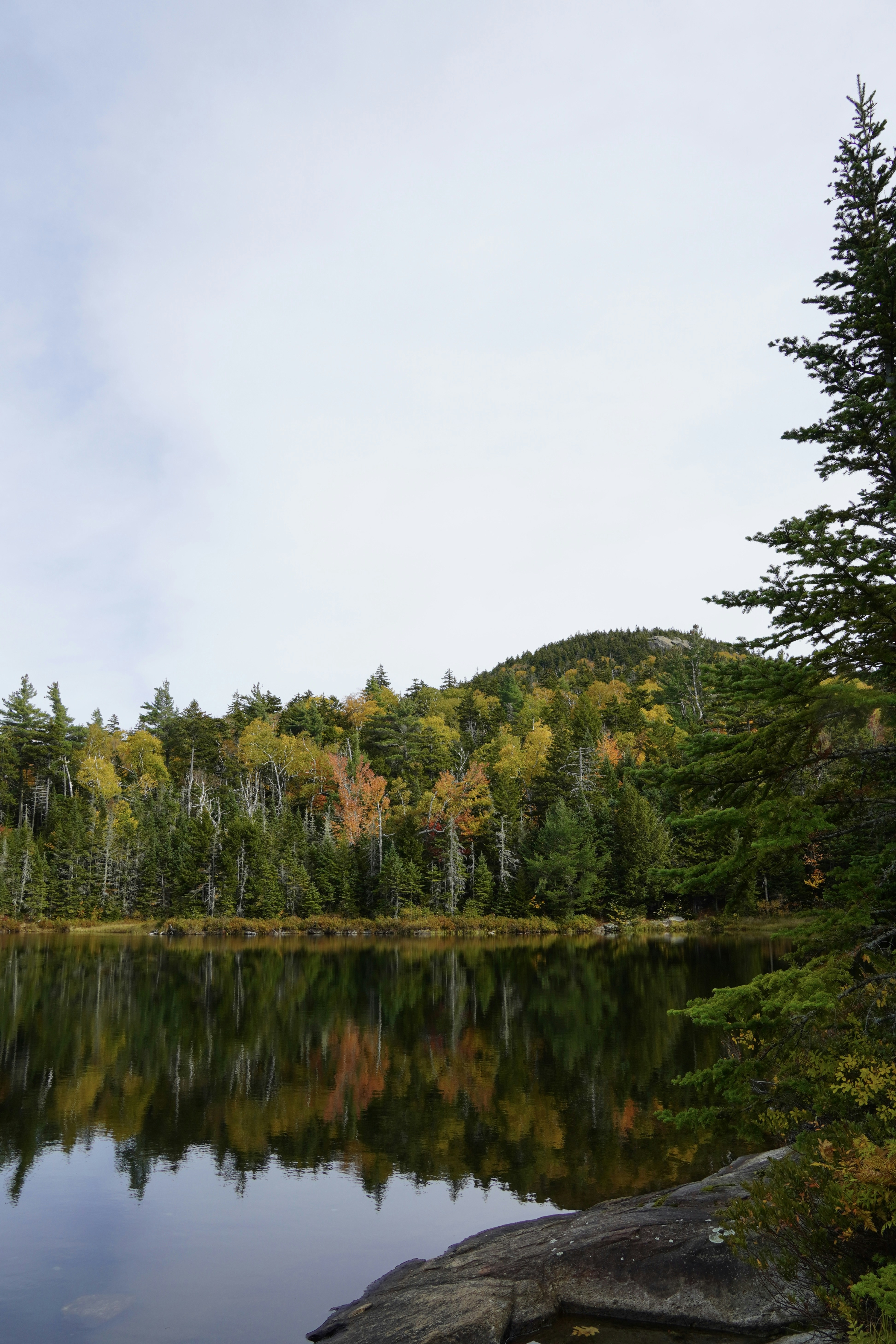 A calm lake reflecting a dense forest with autumn foliage on a hillside