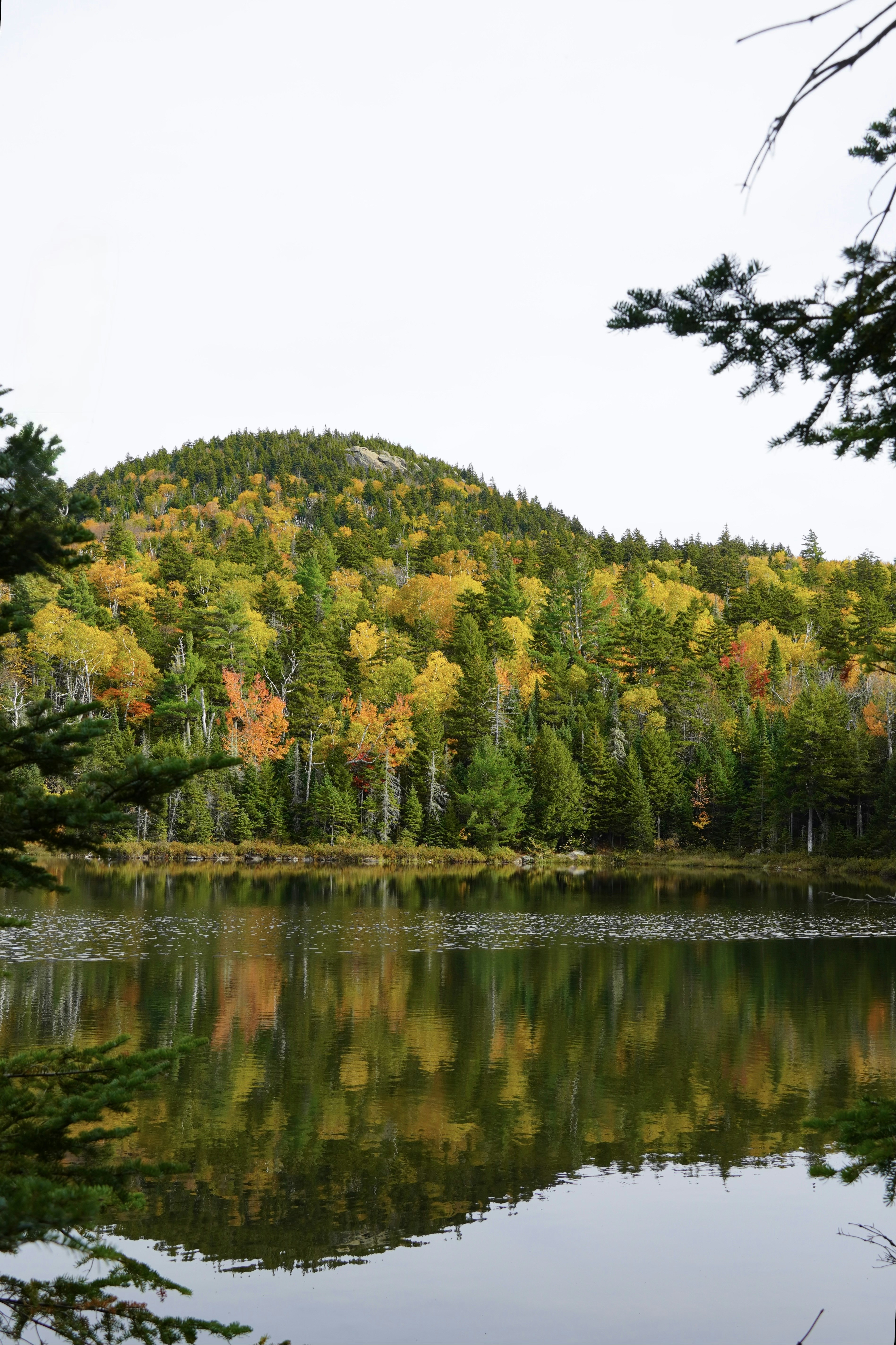 A calm lake reflecting a hillside covered in vibrant autumn foliage and evergreen trees