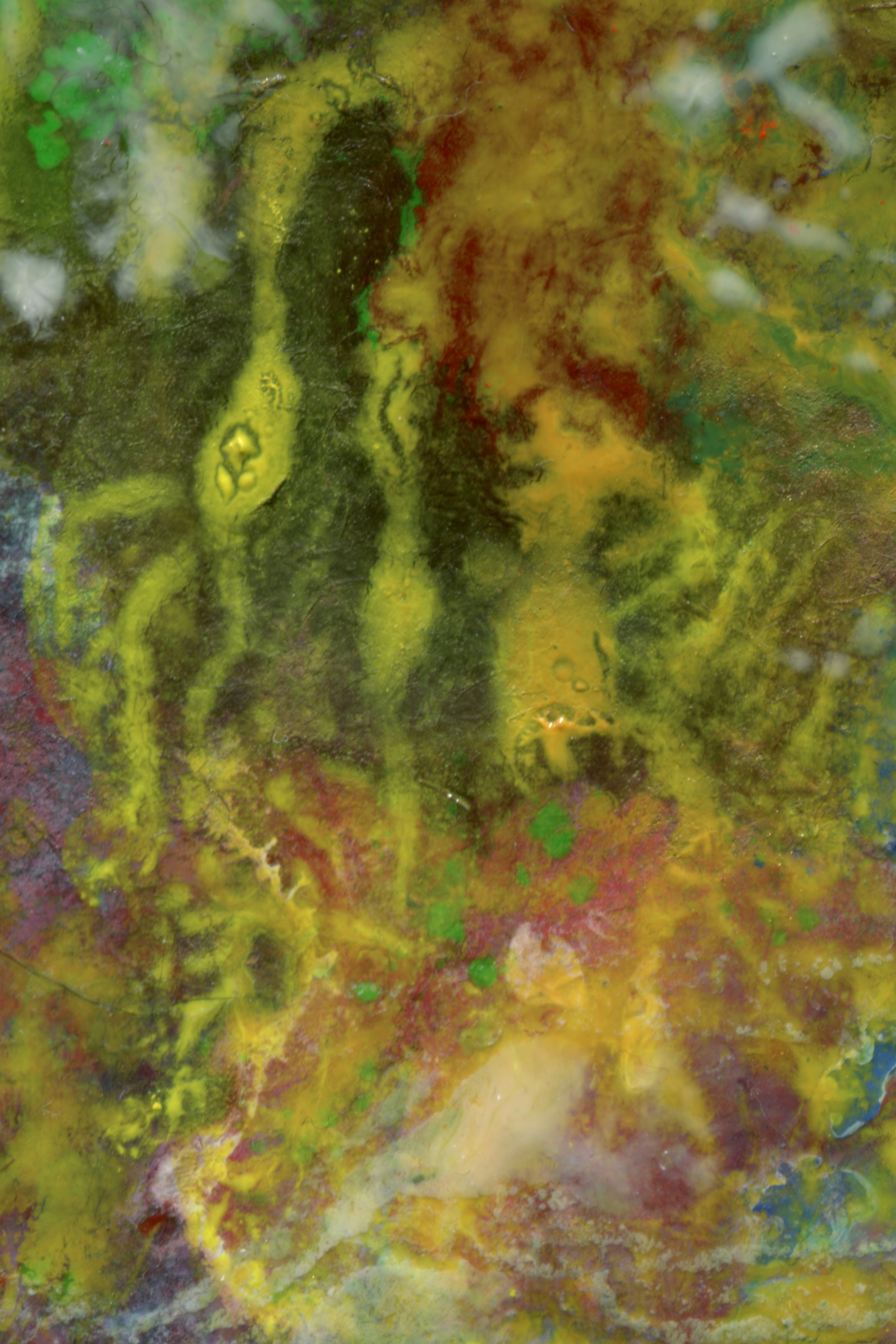 An abstract pattern of mottled green, yellow, brown, and red textures