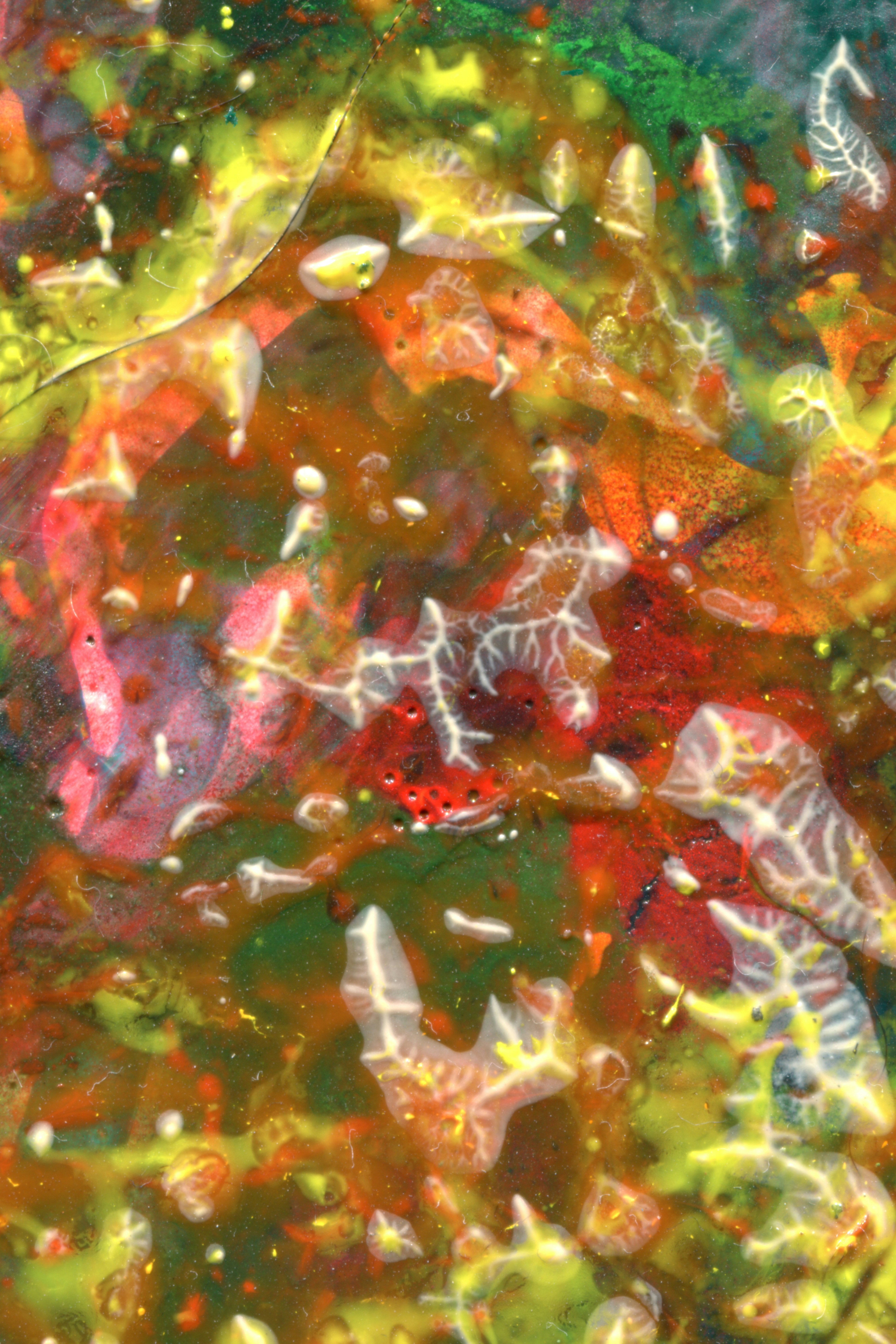 Abstract layers of red, green, and yellow paint with translucent white vein-like patterns