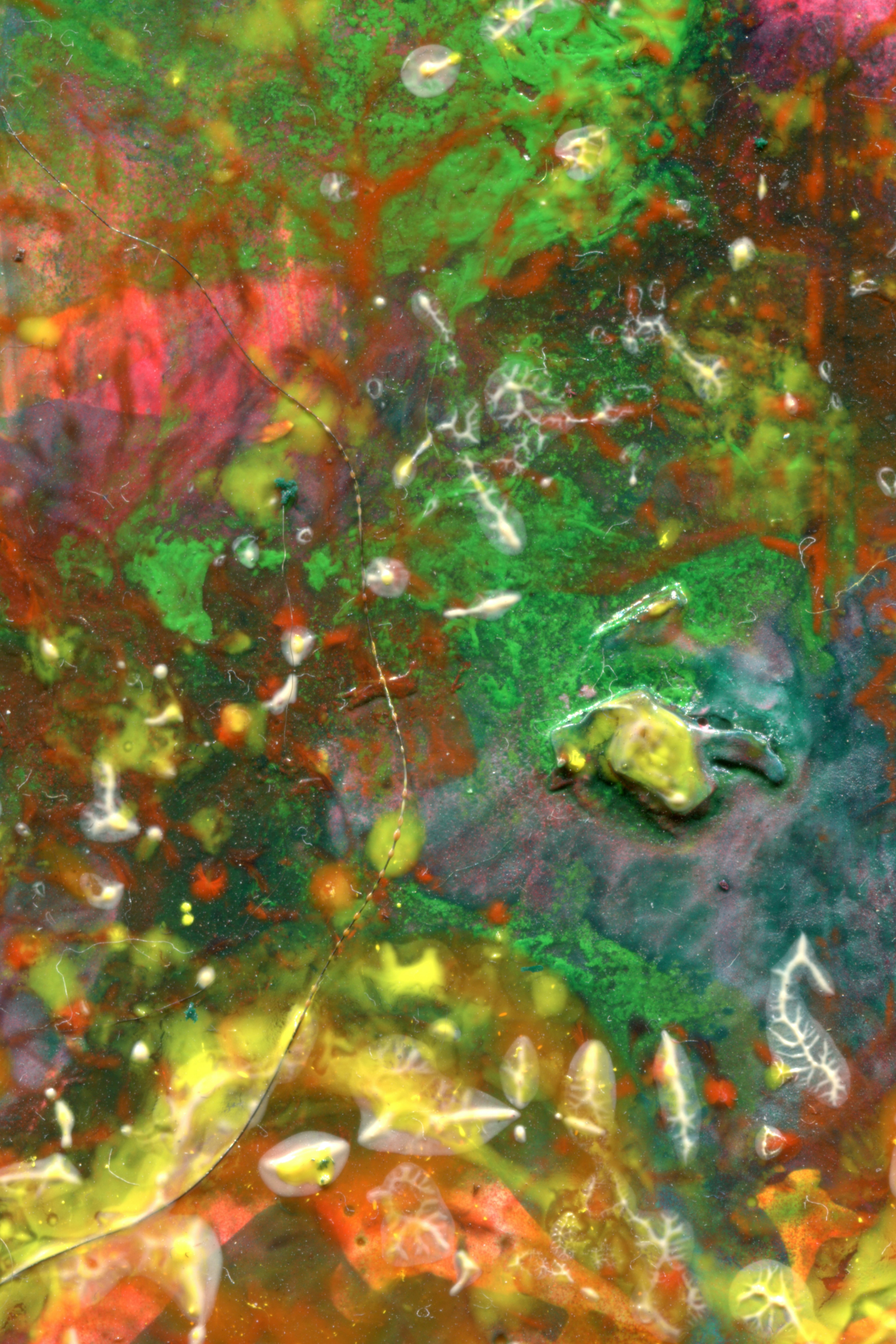 Abstract swirls of green, red, and yellow paint with translucent organic textures