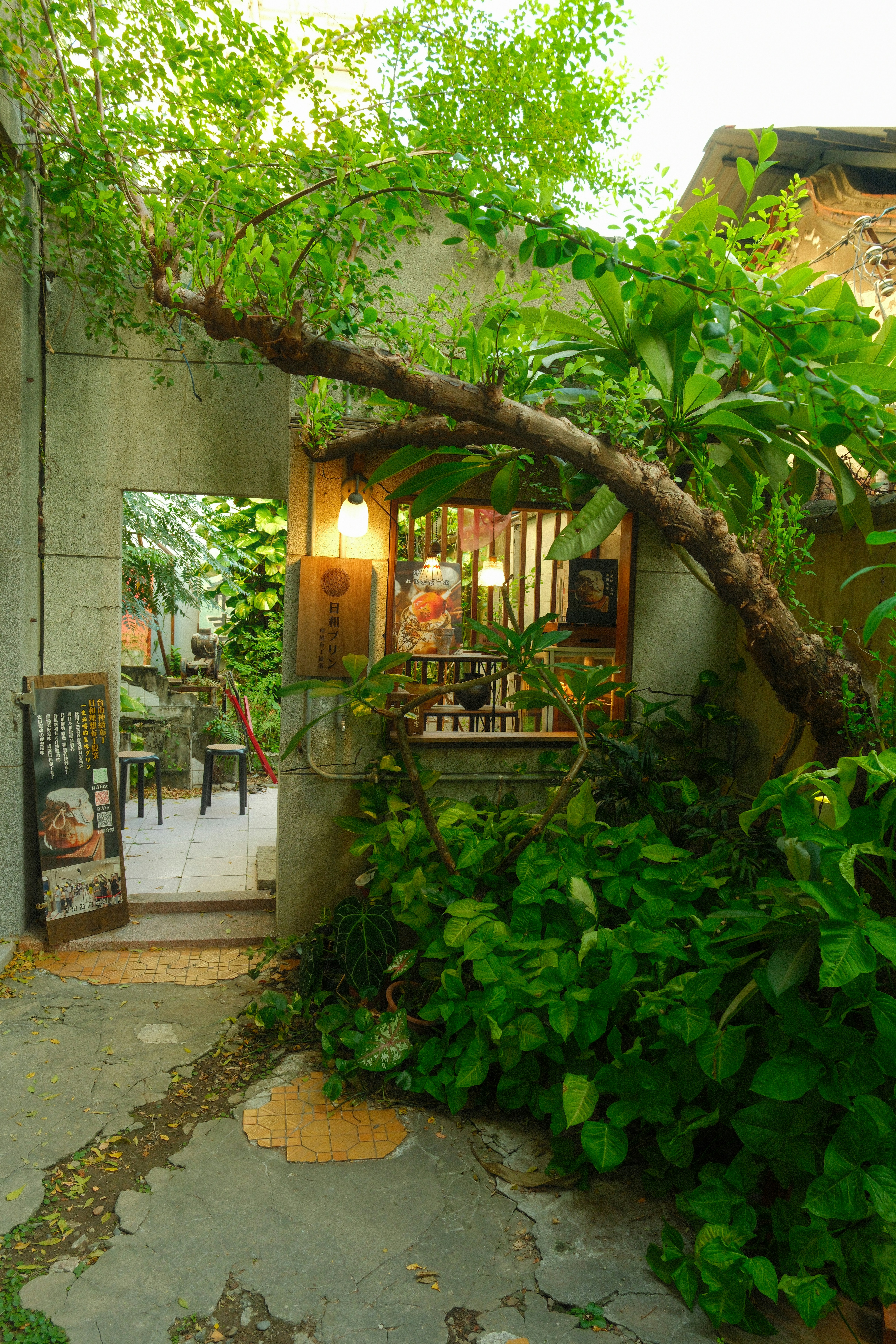 Un pequeño escaparate con listones de madera enclavado en un exuberante patio de jardín