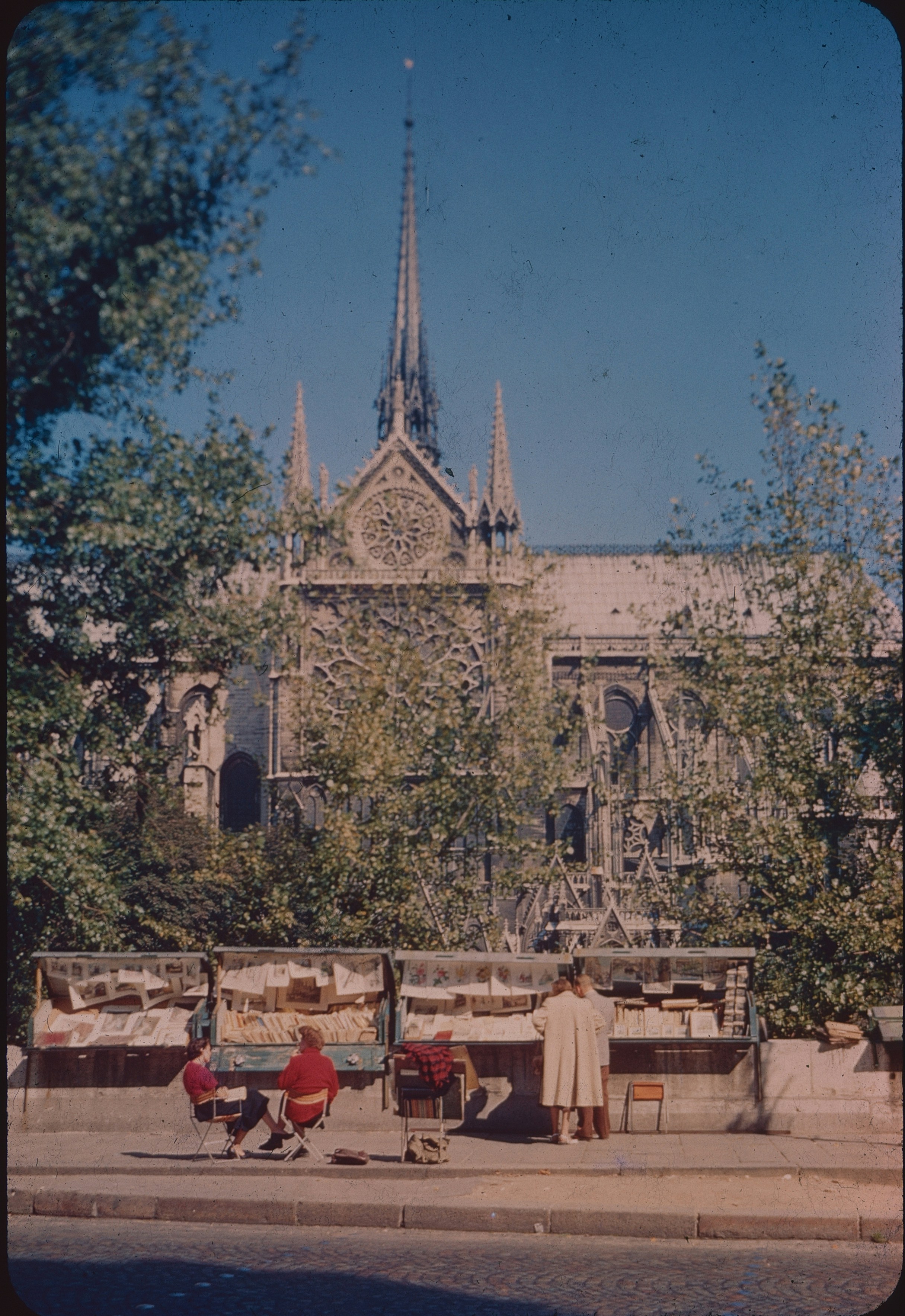 People browsing books at riverside stalls with Notre-Dame Cathedral in the background in Paris