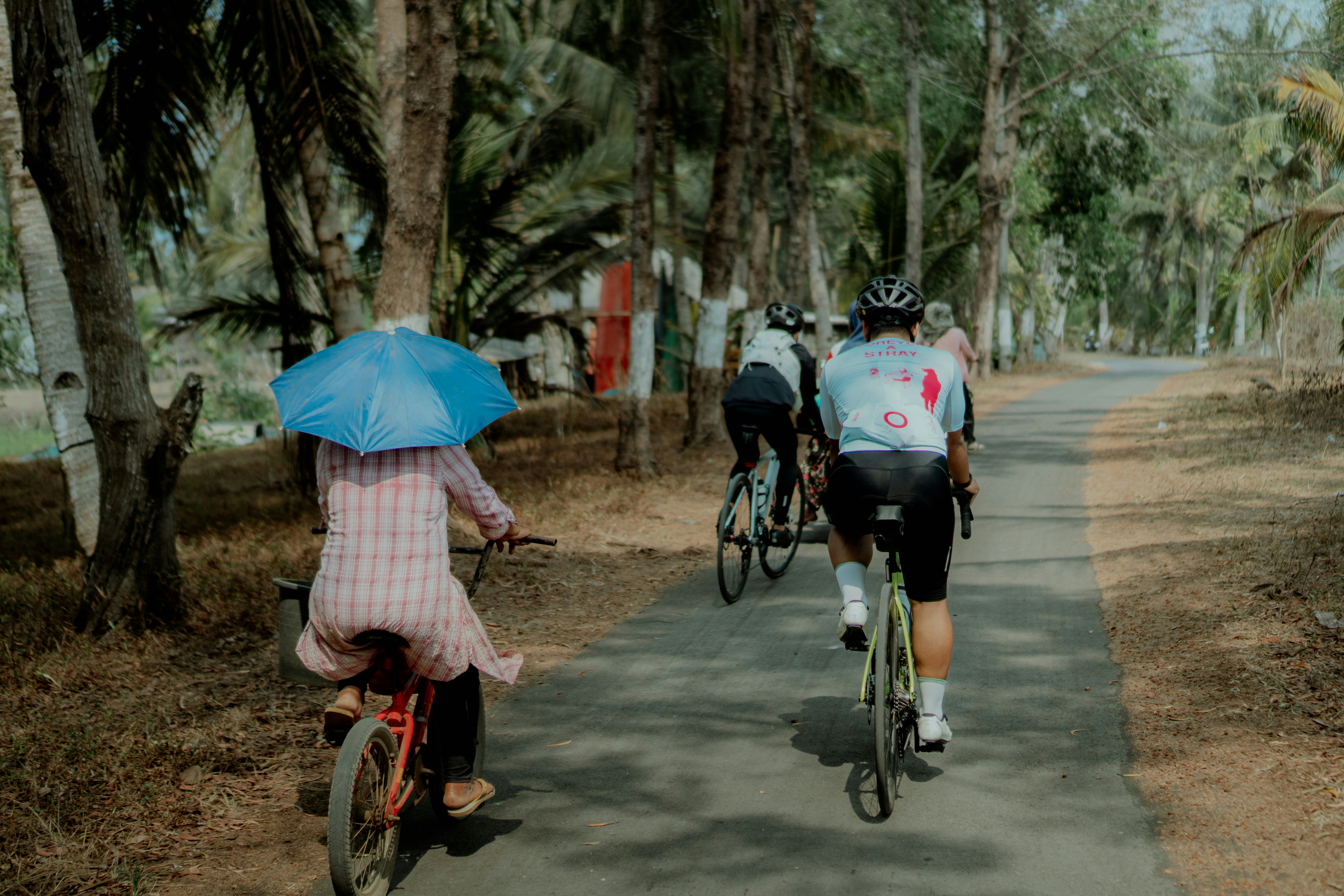 Cyclists on a palm lined path - Free Photo on Unsplash
