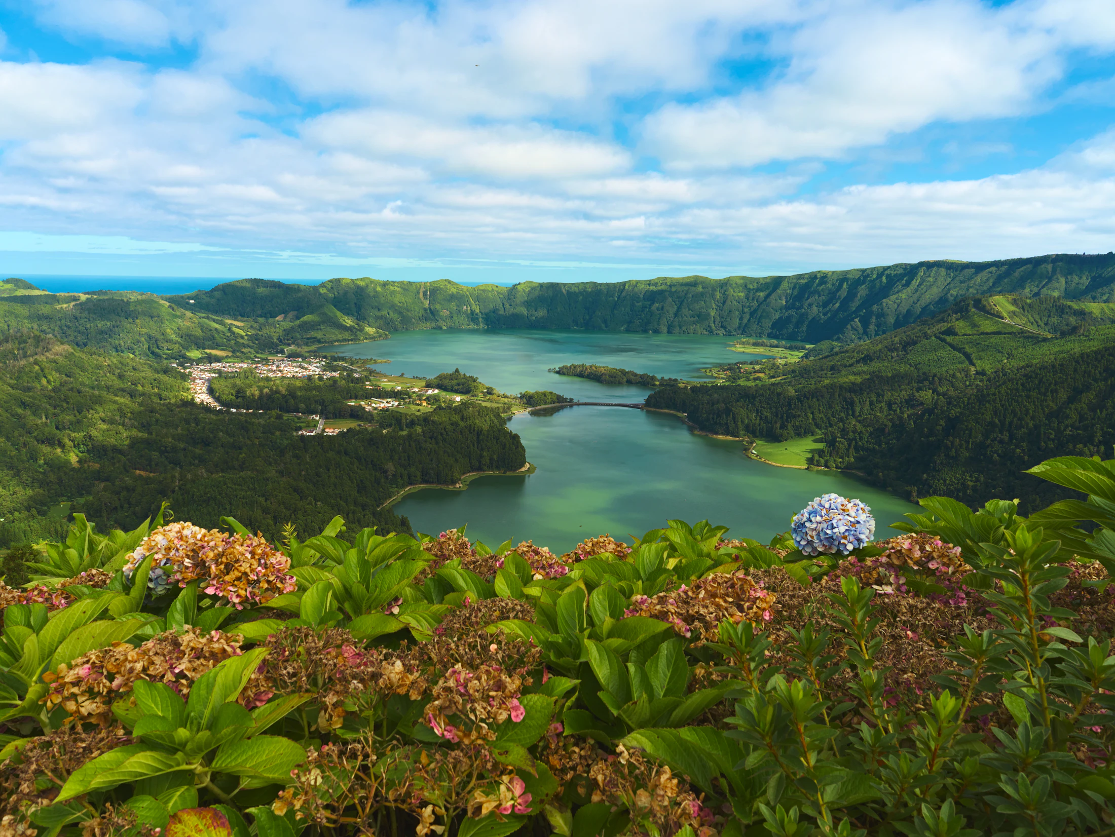 Hortenzie nad jezery Sete Cidades