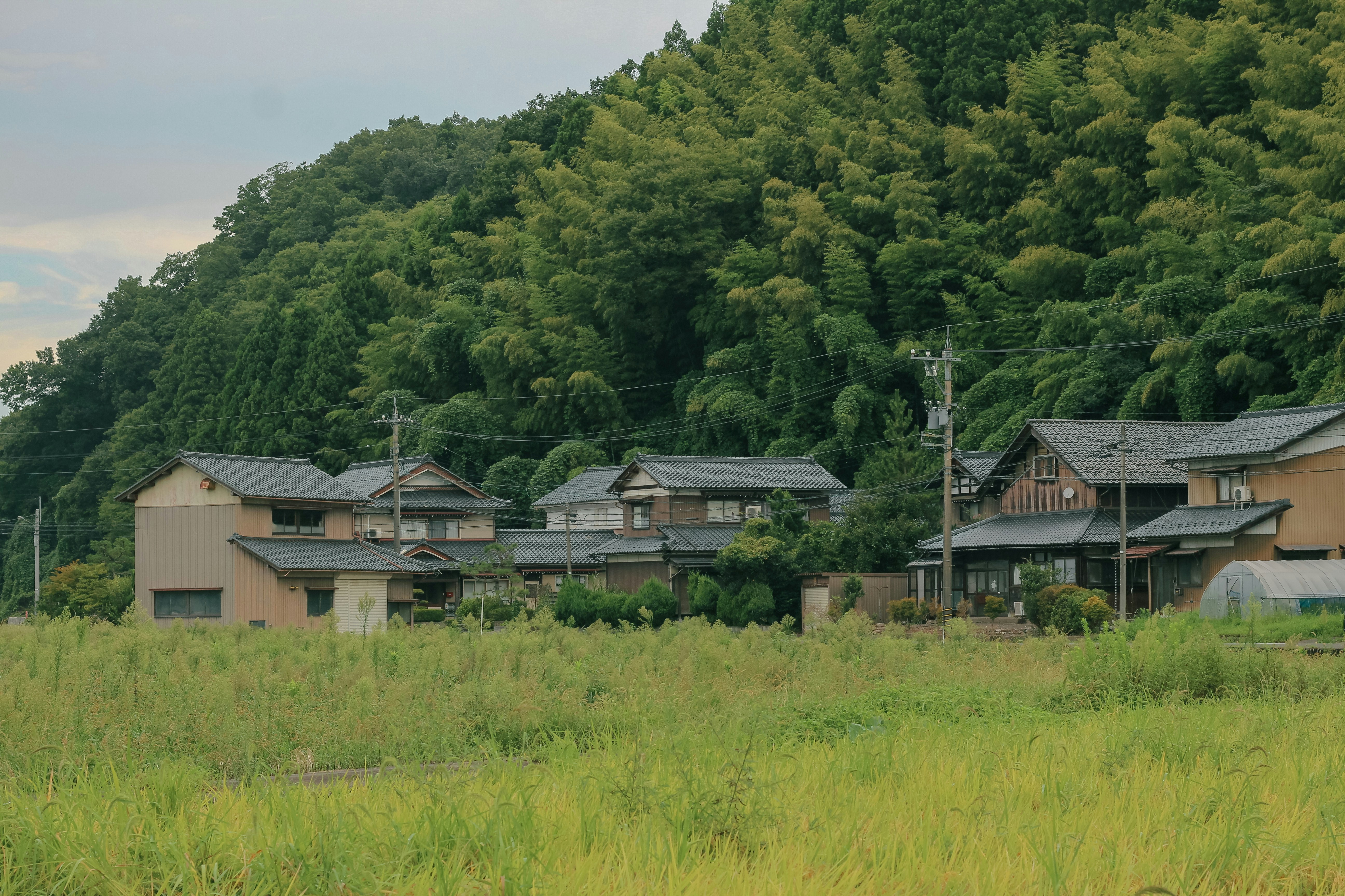 Traditional Japanese houses nestled at the base of a lush green bamboo forest