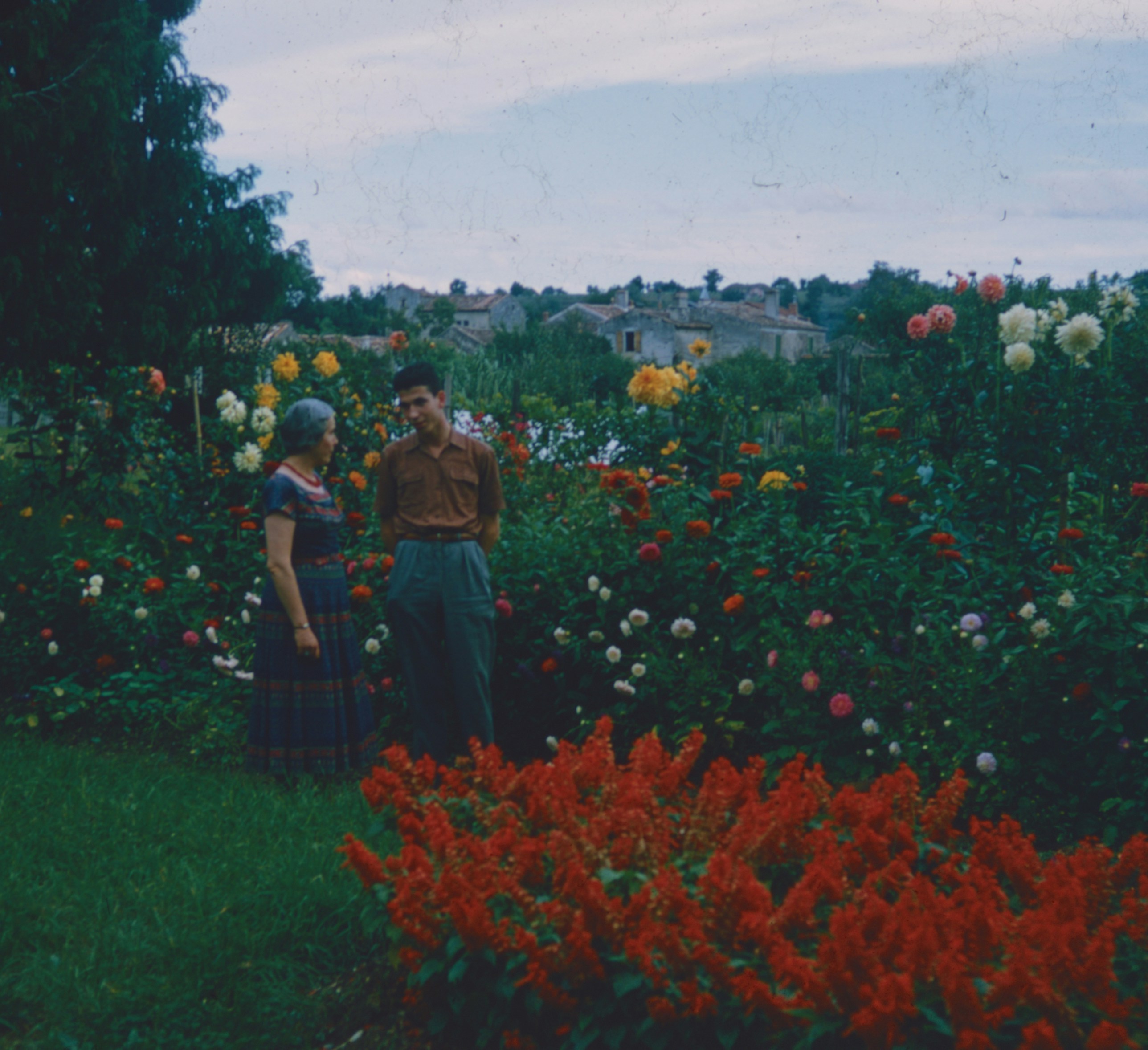 Woman and man in flower garden - Free Photo on Unsplash
