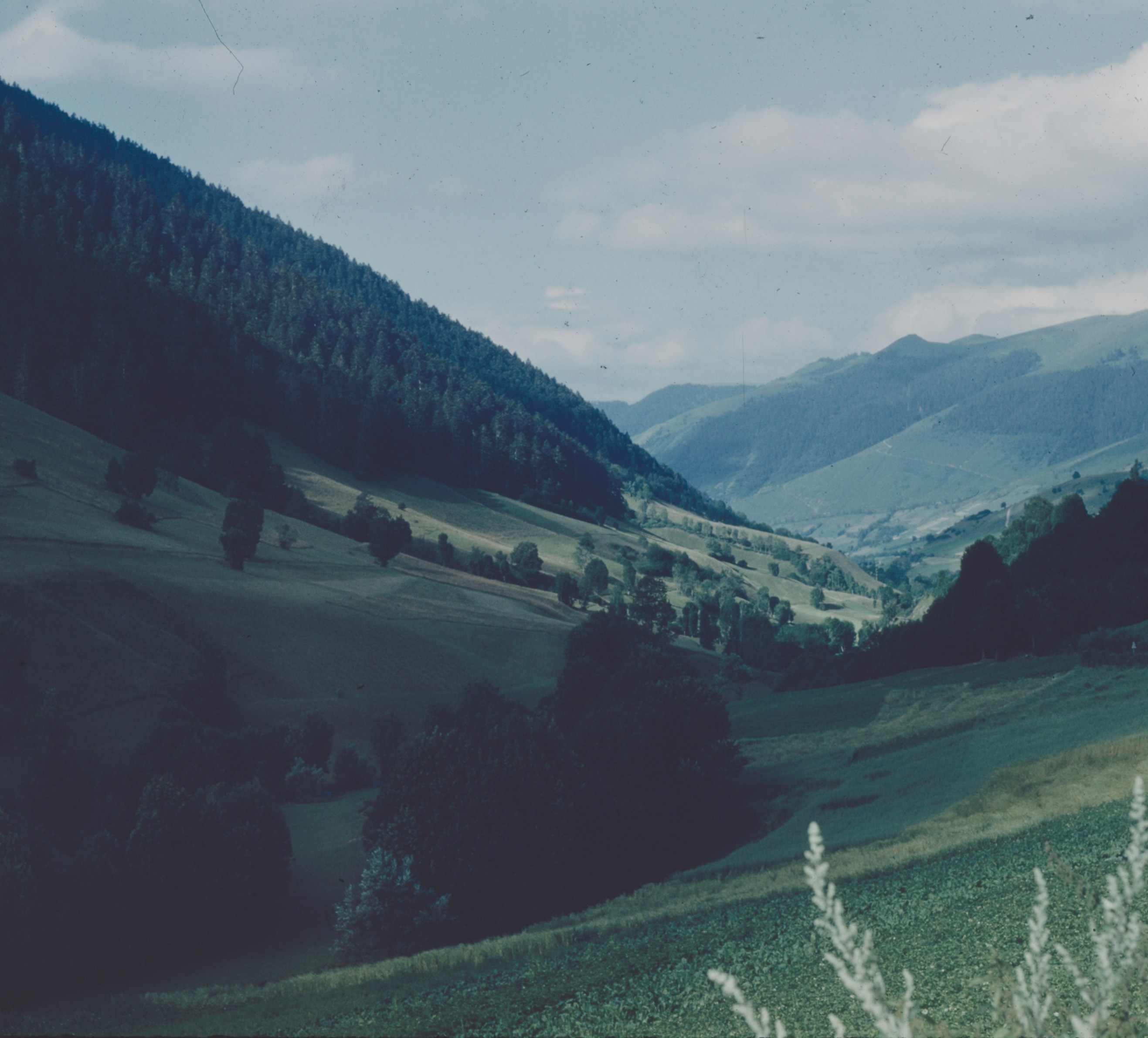 Green valley between forested mountain slopes - Free Photo on Unsplash