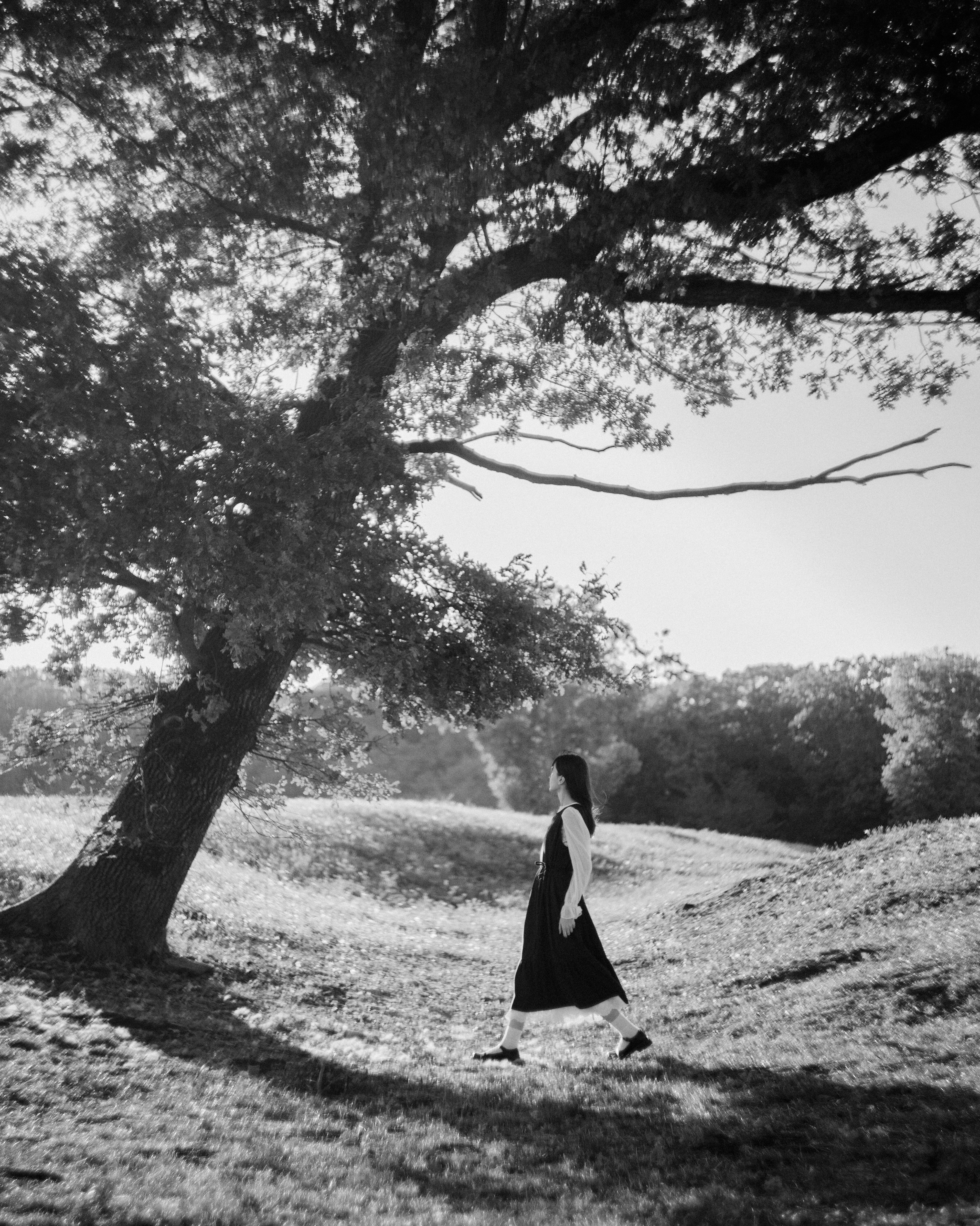 A person in a dark dress walking under a large tree in a grassy field