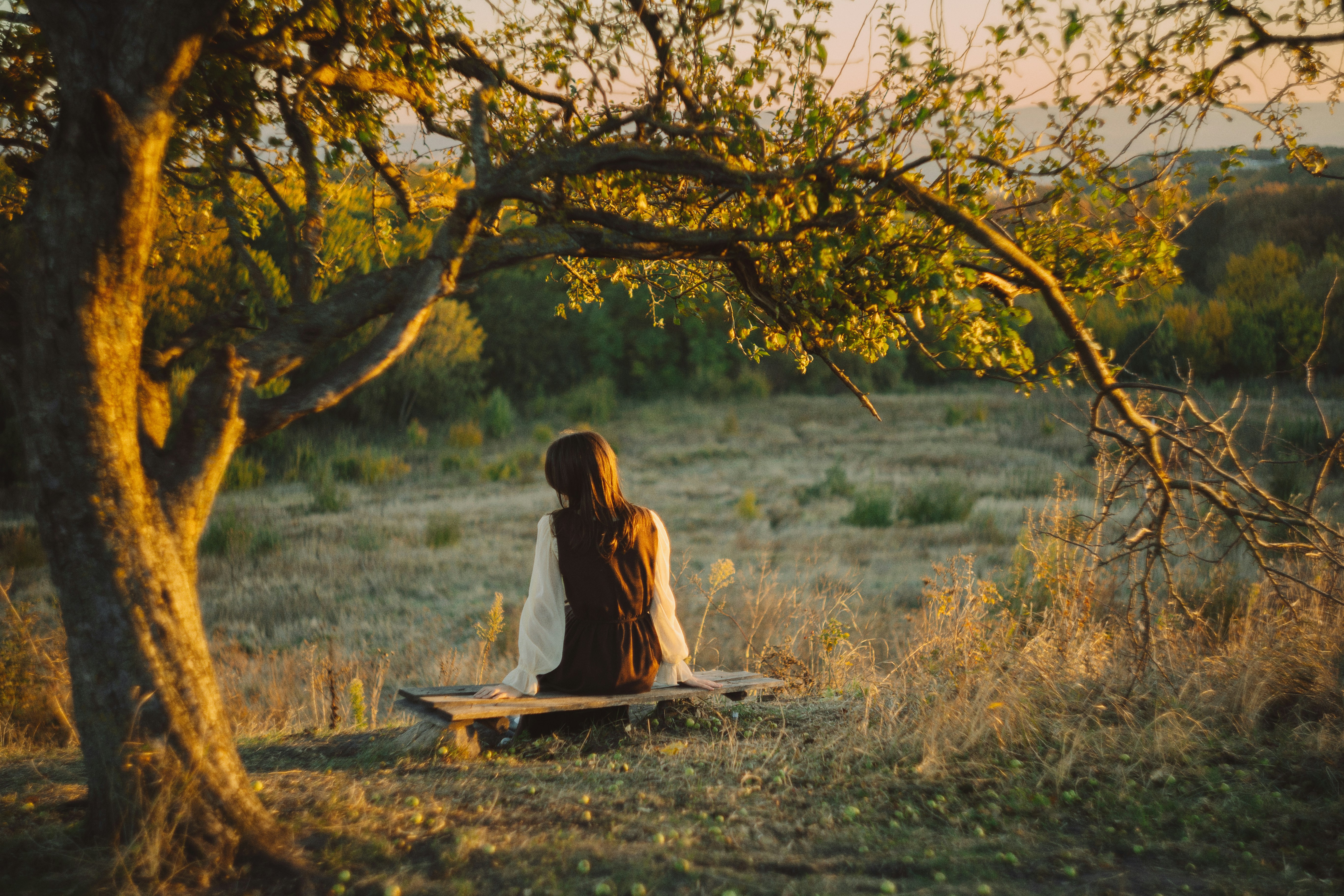 A person in a dark dress sitting on a wooden bench under a tree at golden hour