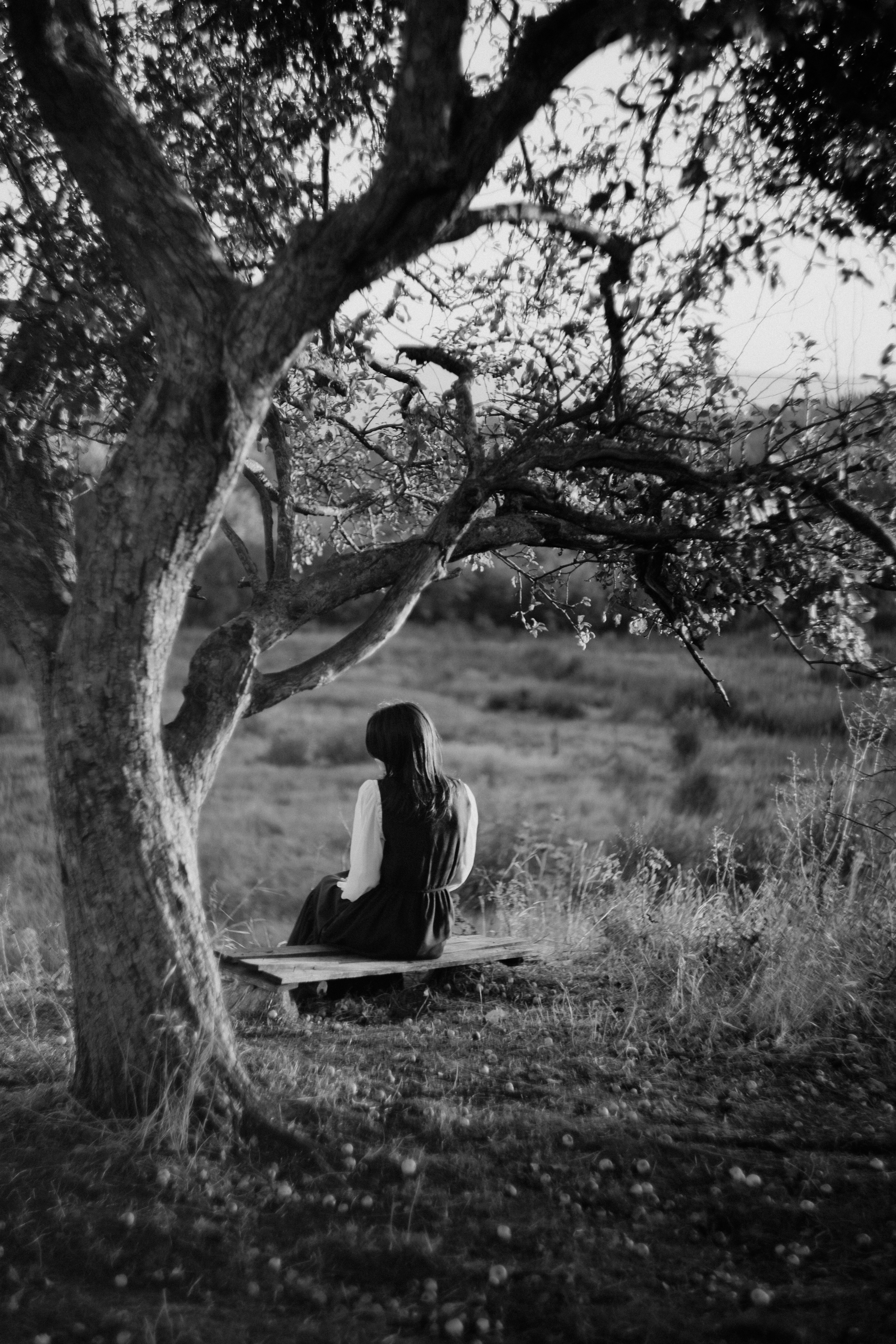 A woman in a dark dress sitting on a wooden bench under a large tree